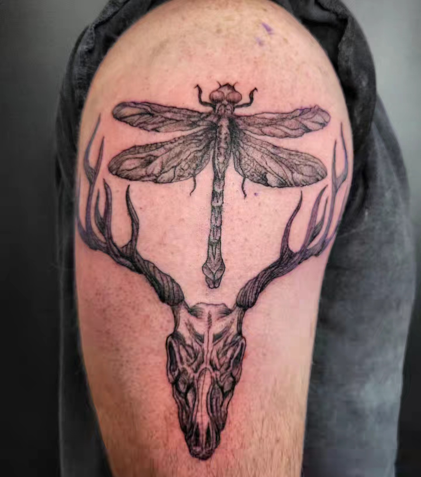 Deer skull and dragonfly realism tattoo on the shoulder by Tim Andrews