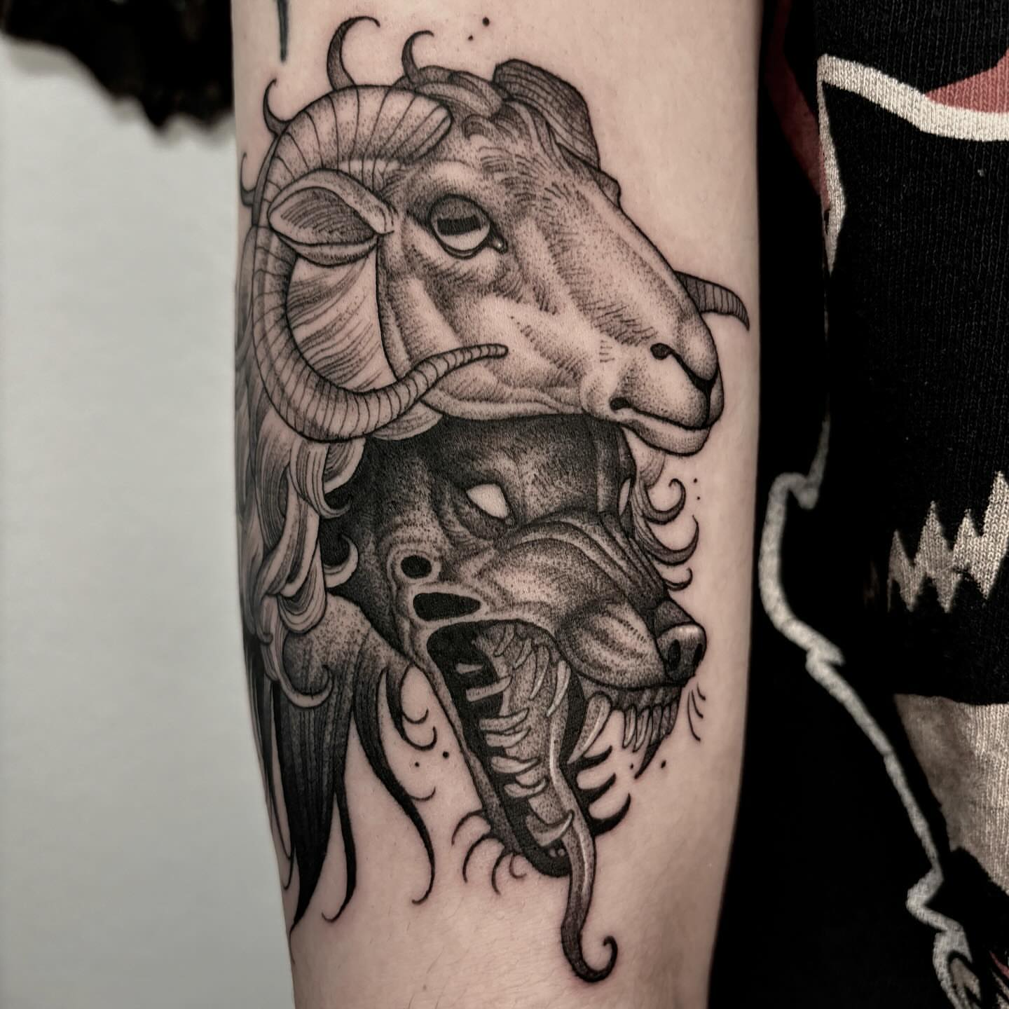 Ram head realism tattoo on the forearm by Jens