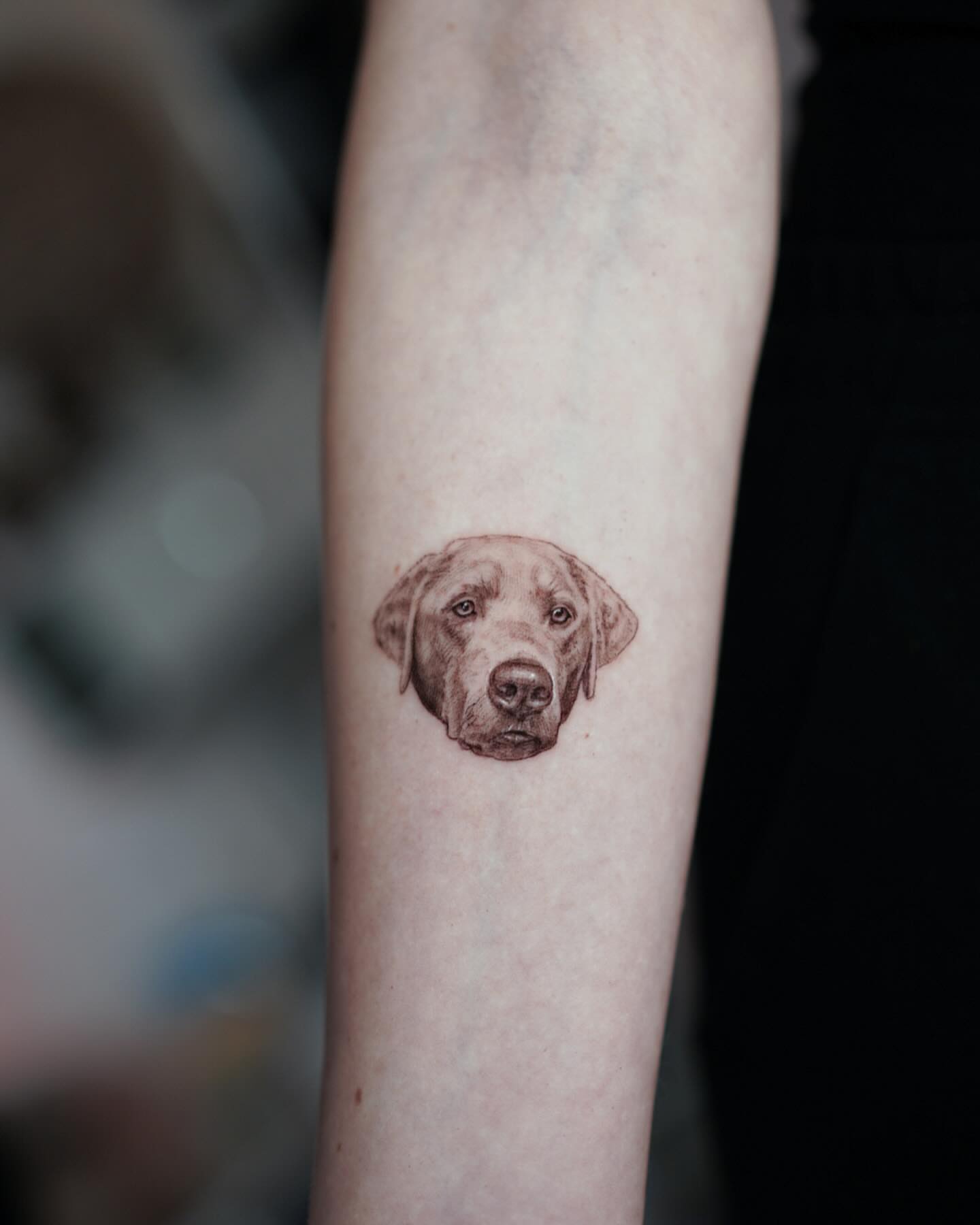 Tattoo by @kevinavila_tattoos — realism