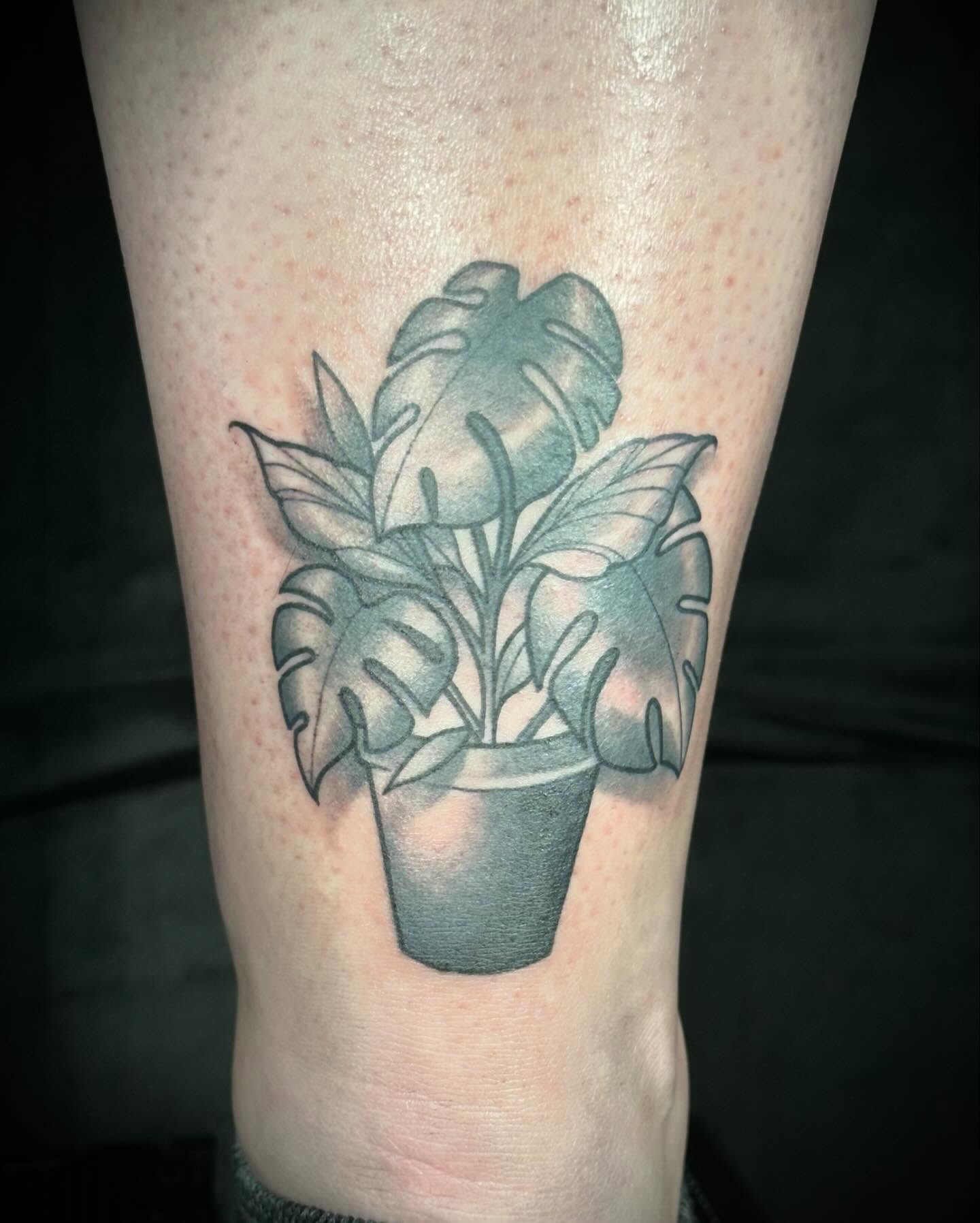Monstera plant black and grey tattoo on the forearm by B.G. Germershausen