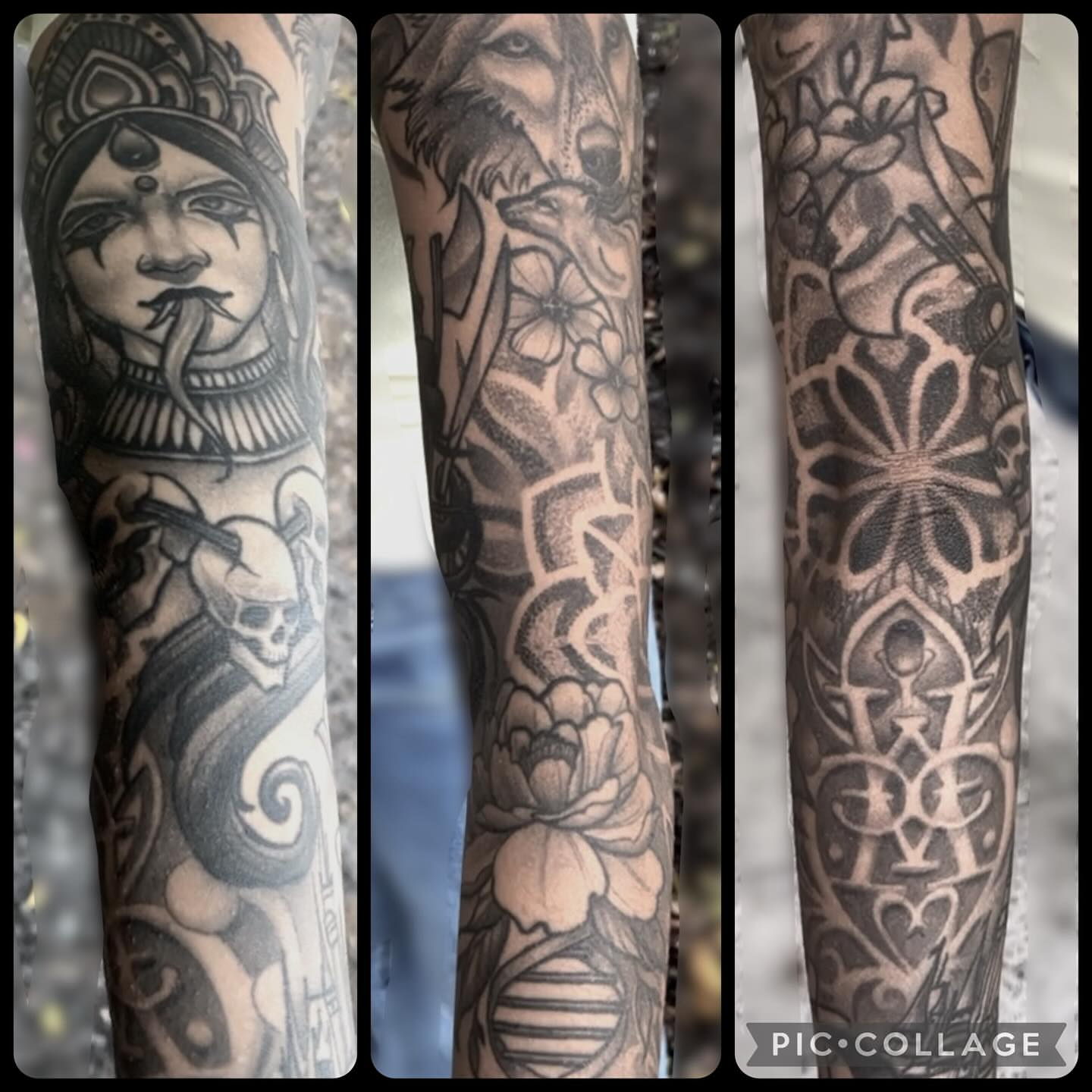 Woman with wolf American traditional tattoo on the forearm by Alex Rockoff