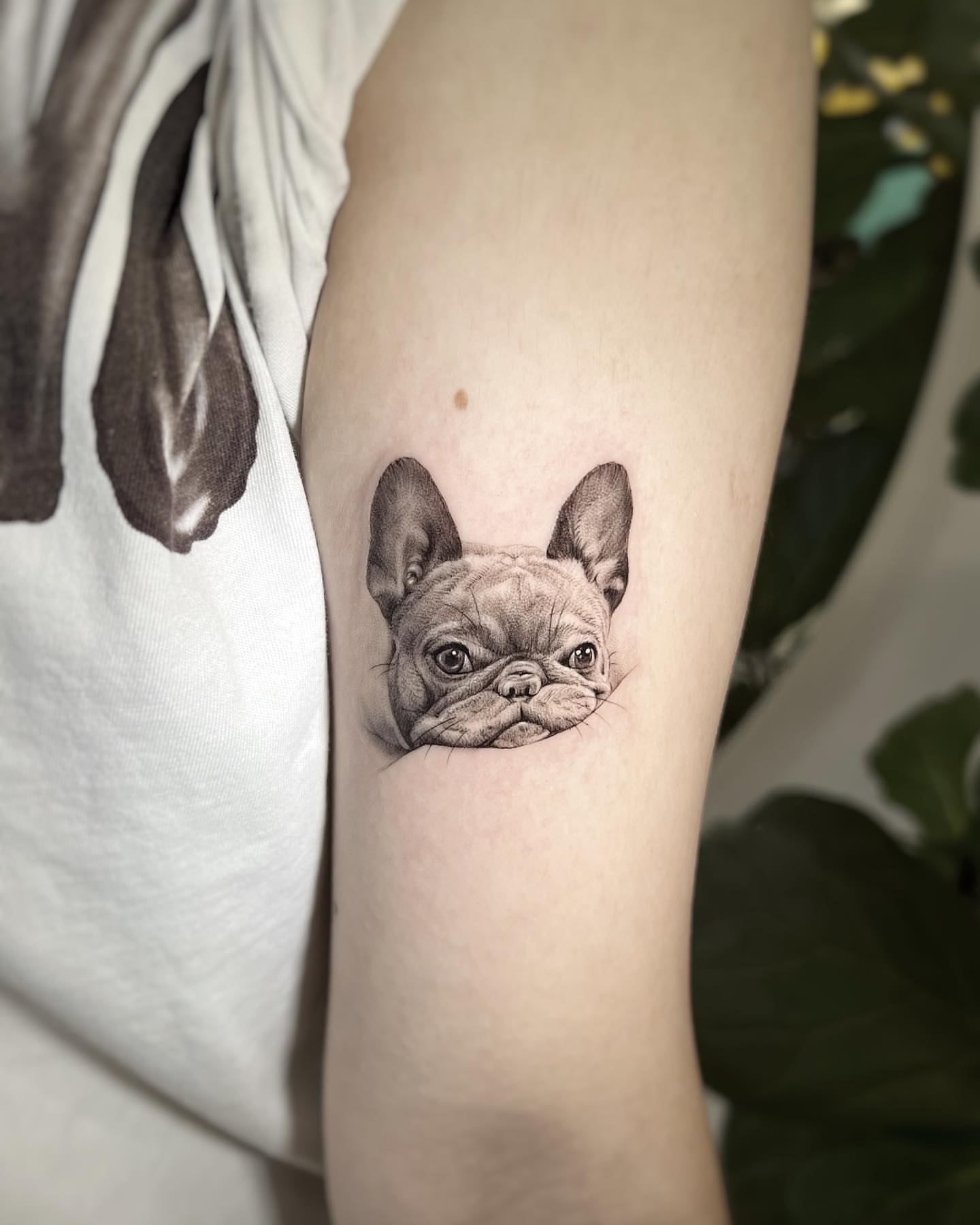French bulldog realism tattoo on the forearm by Nana