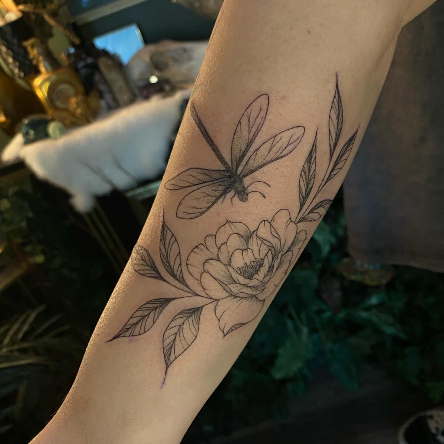 Peony and dragonfly black and grey tattoo on the forearm by π―π²ππΆπ±π¦π¦π€π’π― π₯ πͺπ¦π π₯π¦π€ππ« π±ππ±π±π¬π¬ ππ―π±π¦π°π± πββ¬