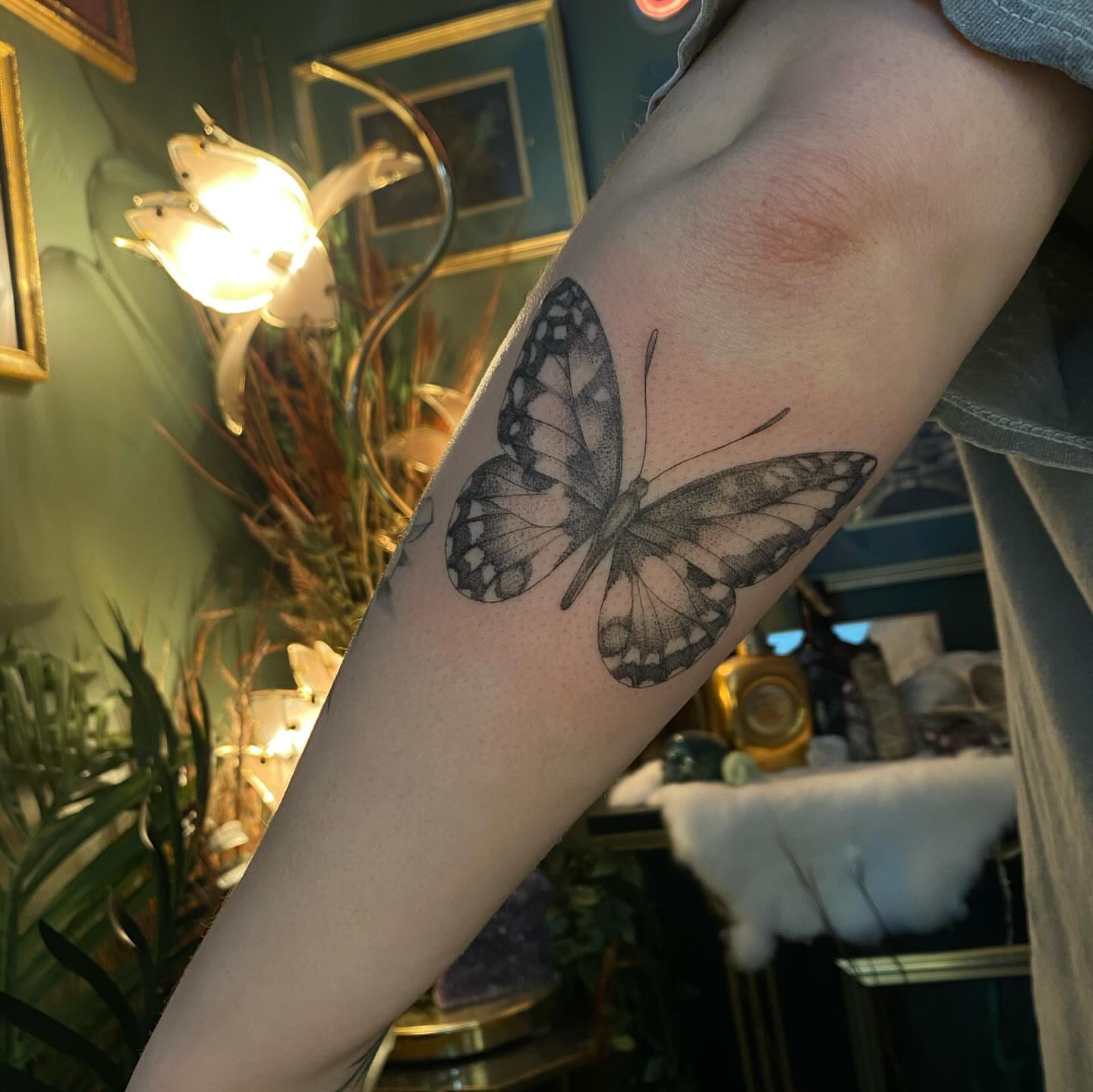 Butterfly dotwork tattoo on the forearm by π―π²ππΆπ±π¦π¦π€π’π― π₯ πͺπ¦π π₯π¦π€ππ« π±ππ±π±π¬π¬ ππ―π±π¦π°π± πββ¬