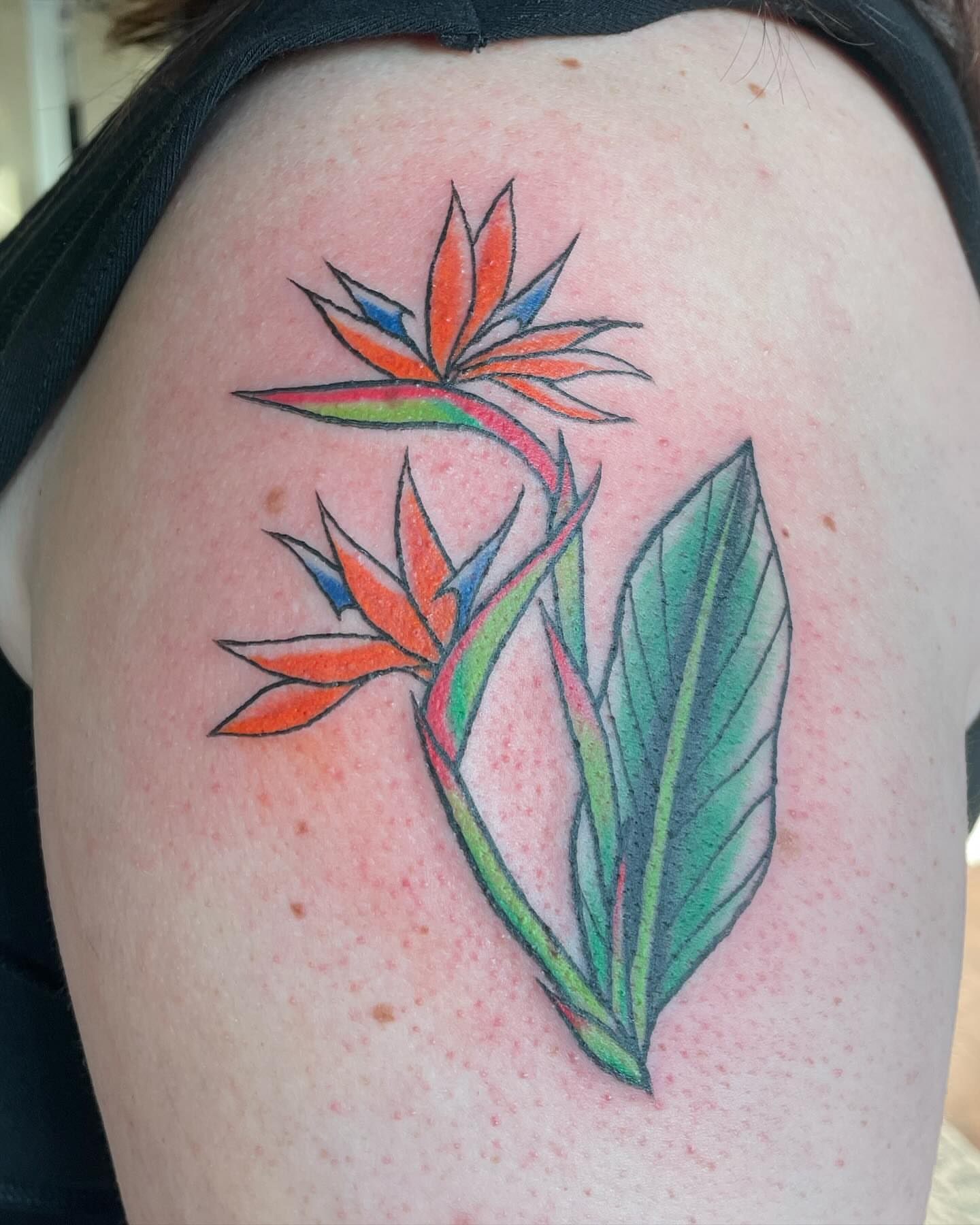 Tattoo by @blackcatcrap — new_school