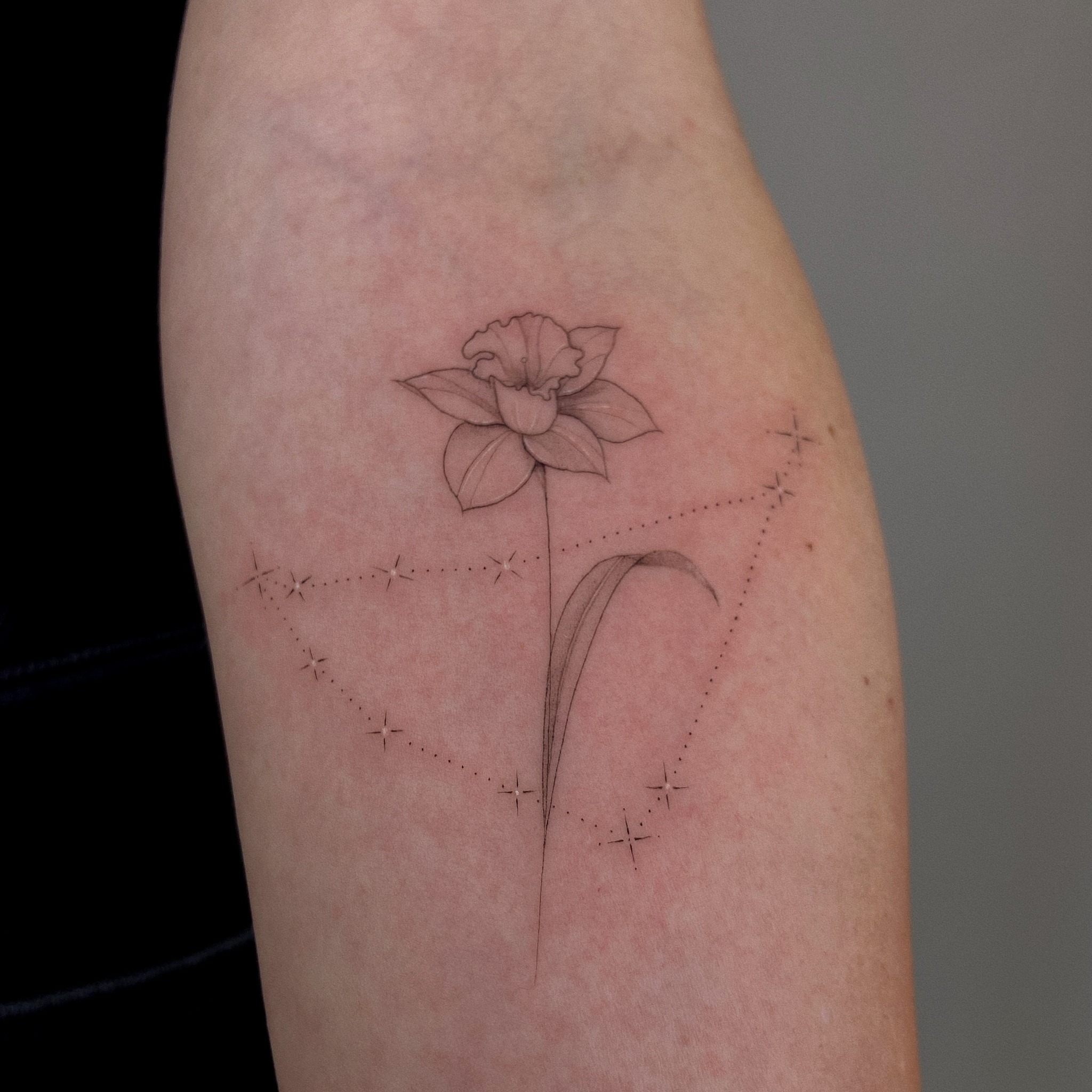 Tattoo by @mrspiotattoo — dotwork, minimalist