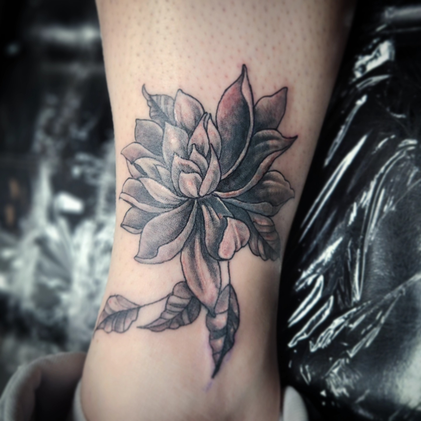 Succulent black and grey tattoo on the forearm by Jennalea