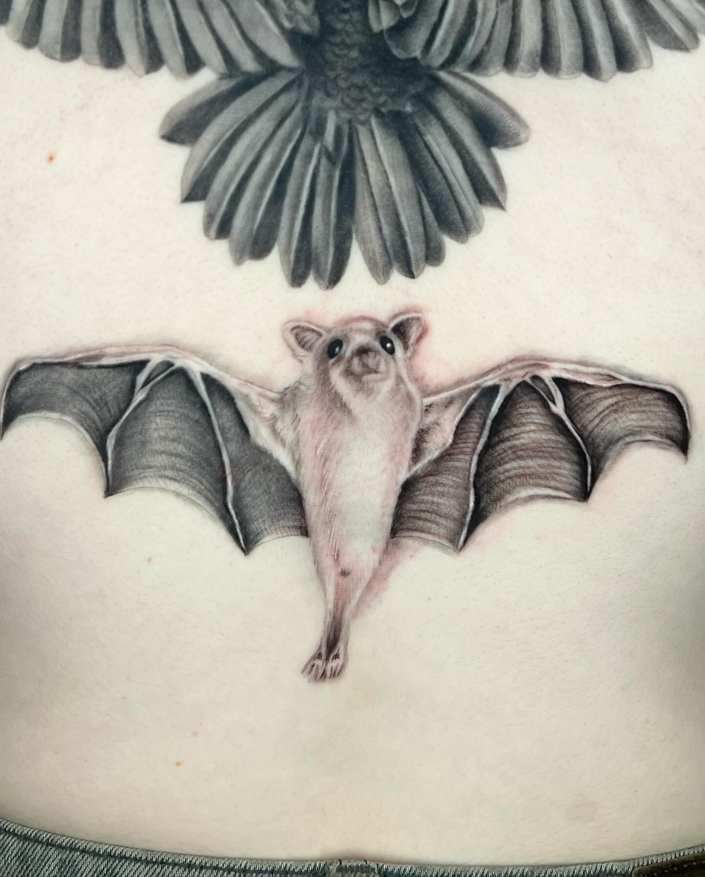 Bat realism tattoo on the torso by πππππ βππ£π£ππ€ππ , Tucson, Arizona