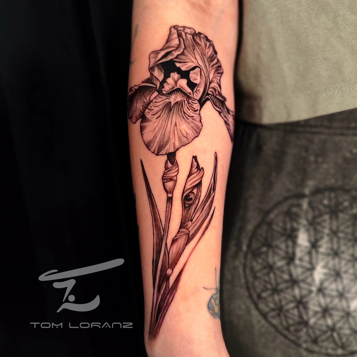 Iris realism tattoo on the forearm by Ｔｏｍ Ｌｏｒａｎｚ