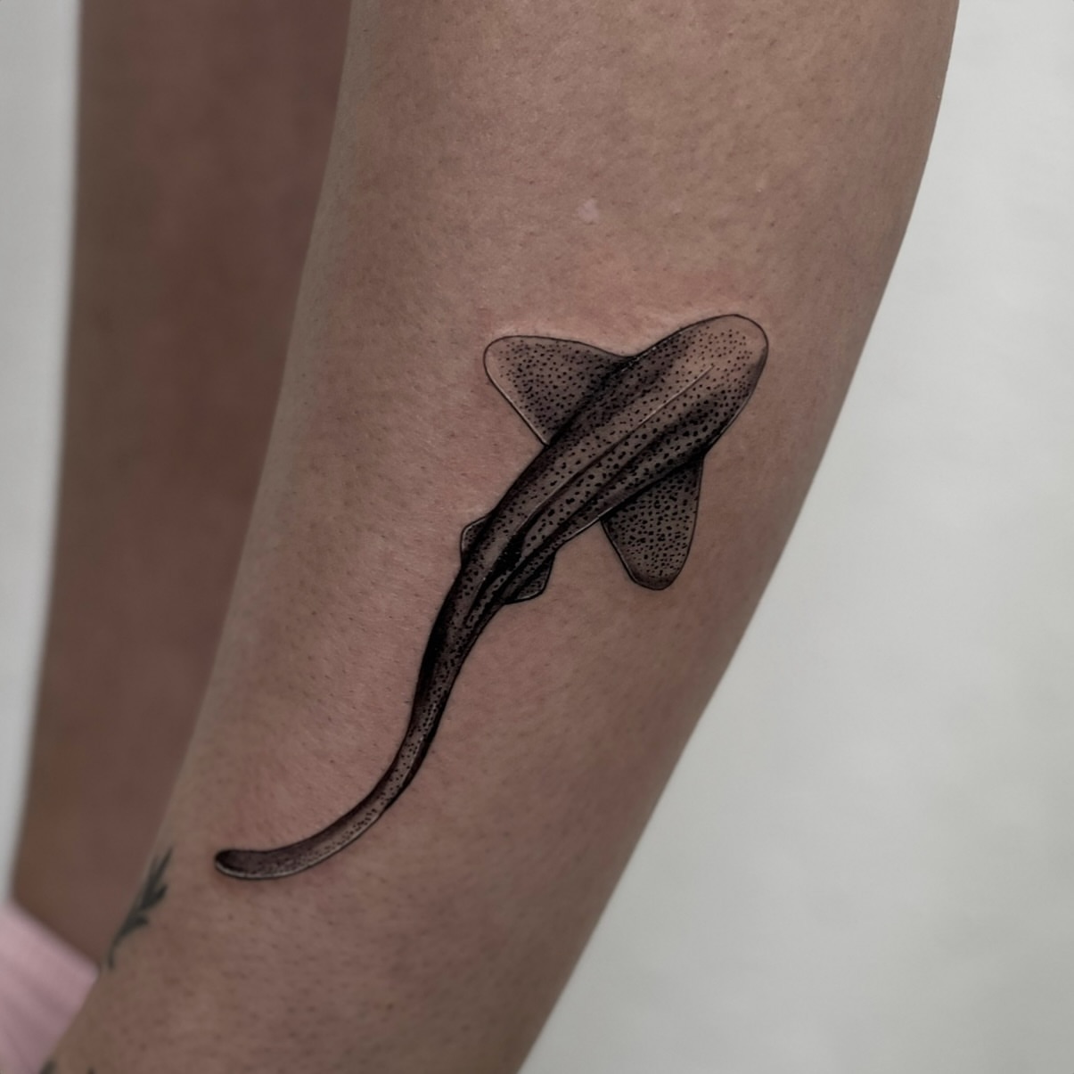 Shark dotwork tattoo on the forearm by Riki