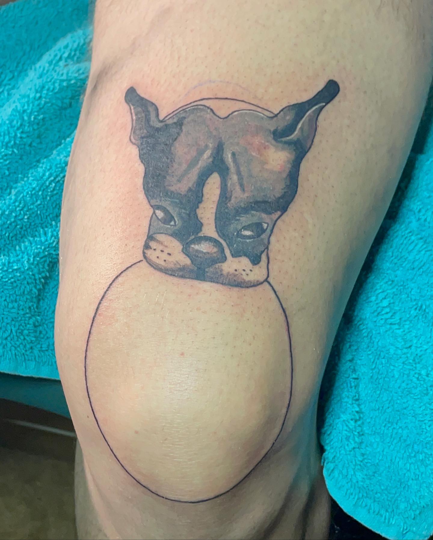 Dog black and grey tattoo on the thigh by ART