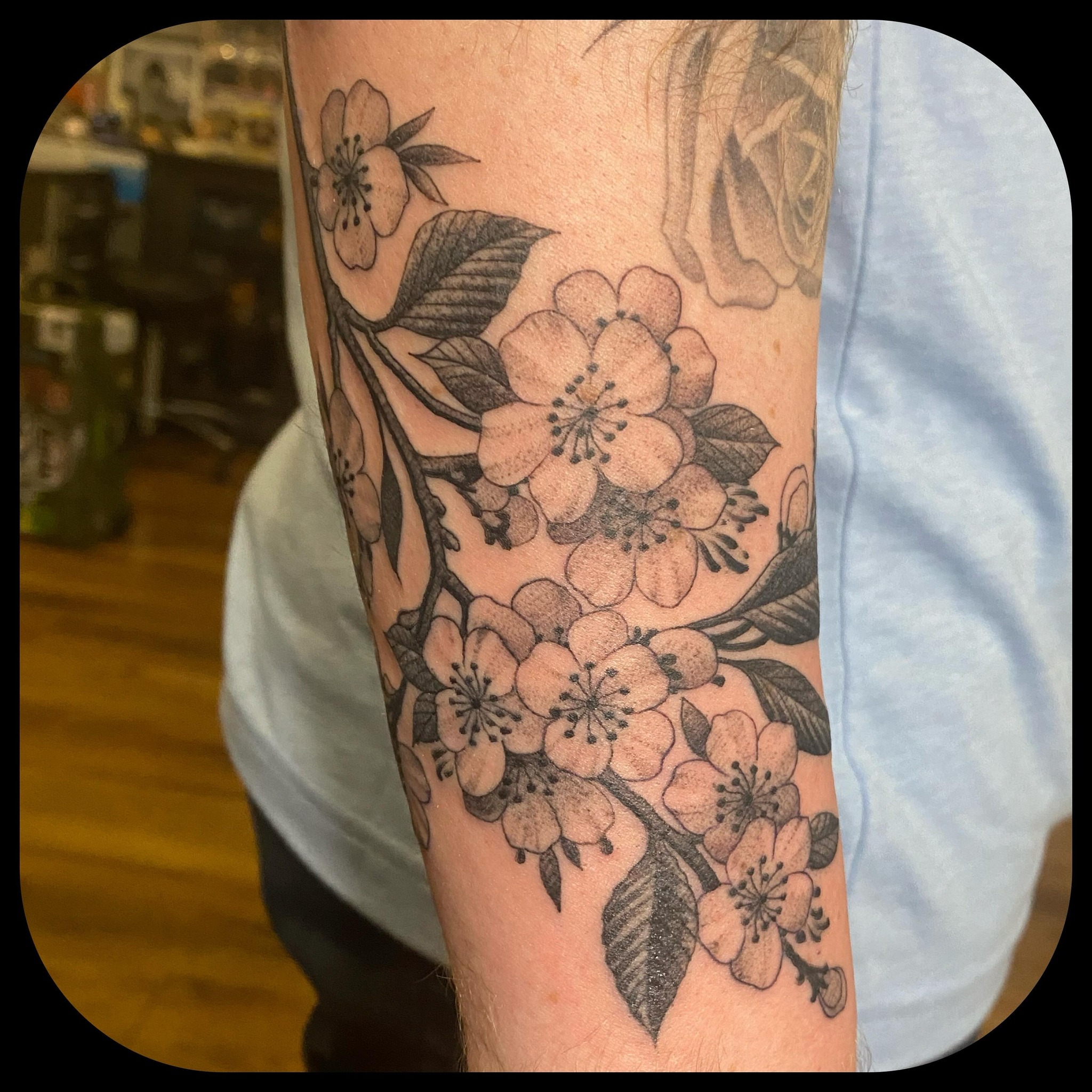Cherry blossoms black and grey tattoo on the forearm by ๐ญ๐๐ ๐ฎ๐๐๐๐๐, Berkeley, California