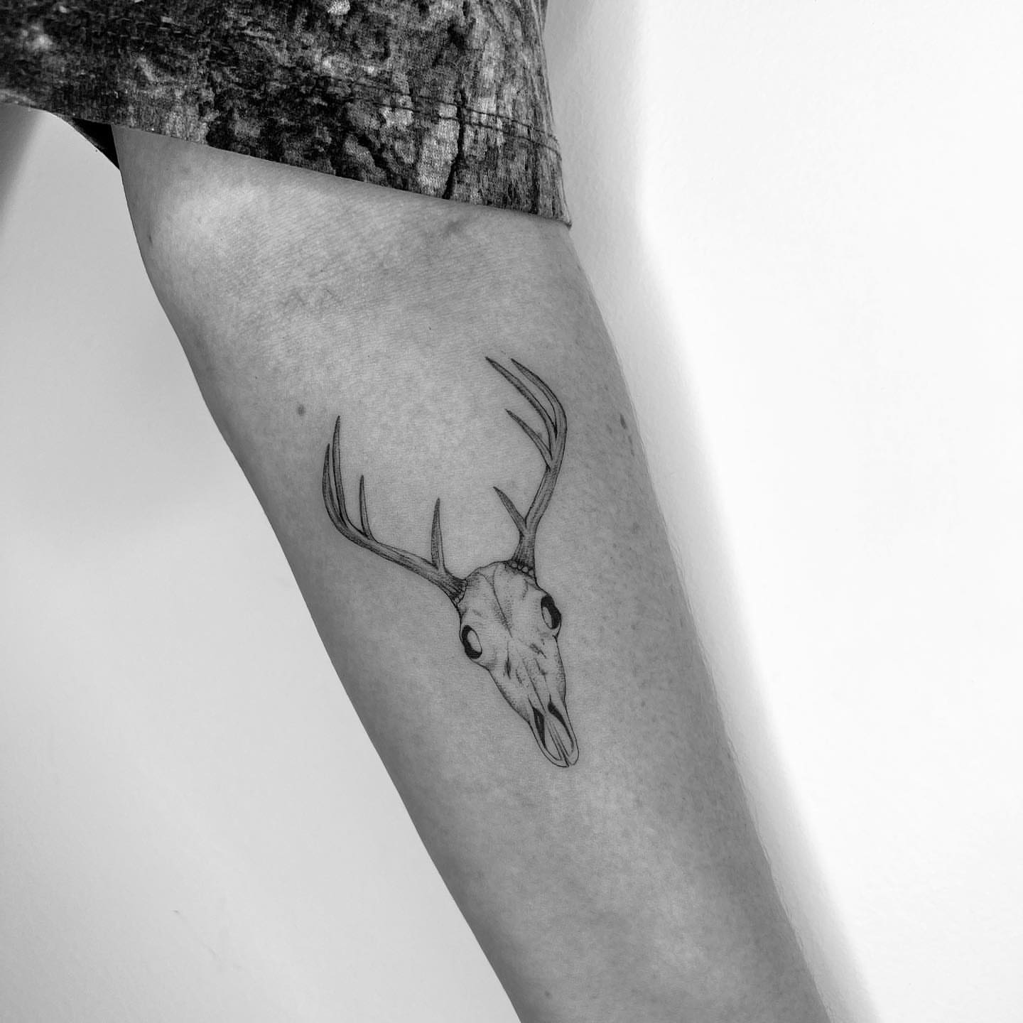 Deer skull black and grey tattoo on the forearm by Marisa Martello, Nashville, Tennessee