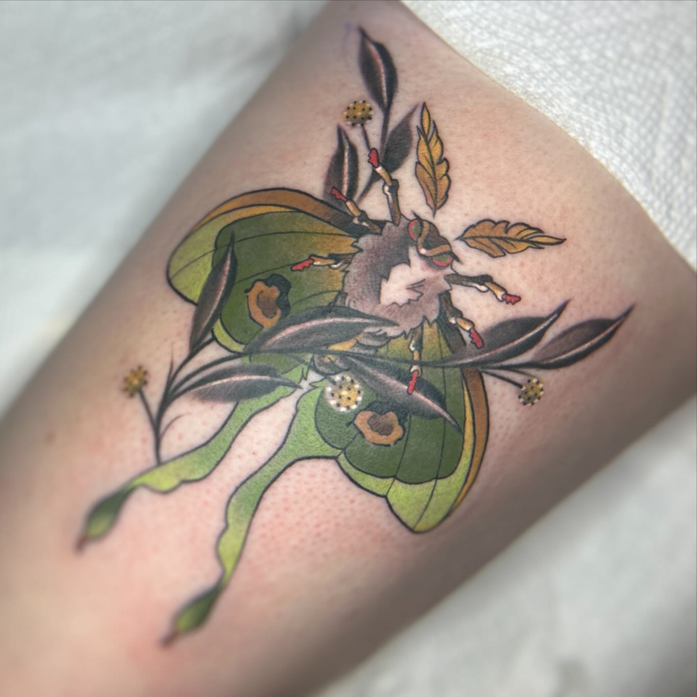 Luna moth new school tattoo on the forearm by Rat Girl, Dayton, Ohio