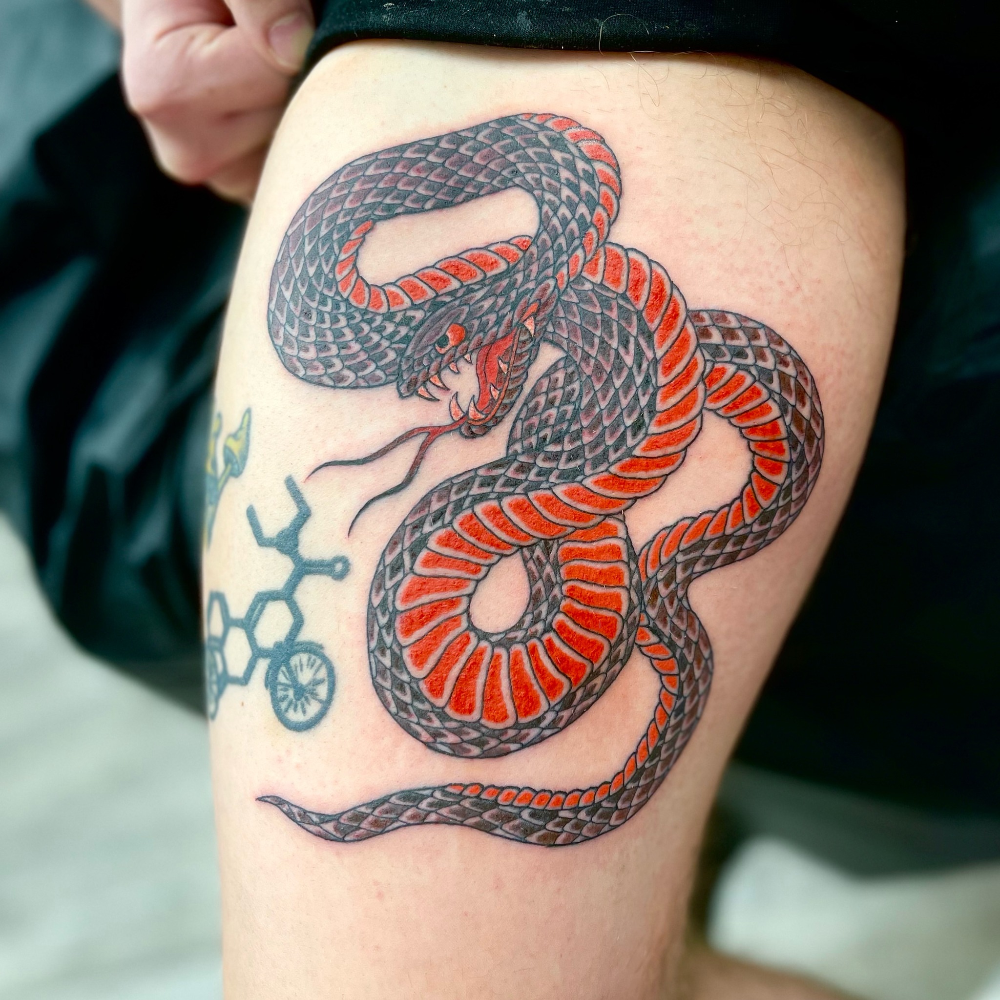 Snake American traditional tattoo on the thigh by Mister Joe Joe Frisco Tattoo, San Francisco, California