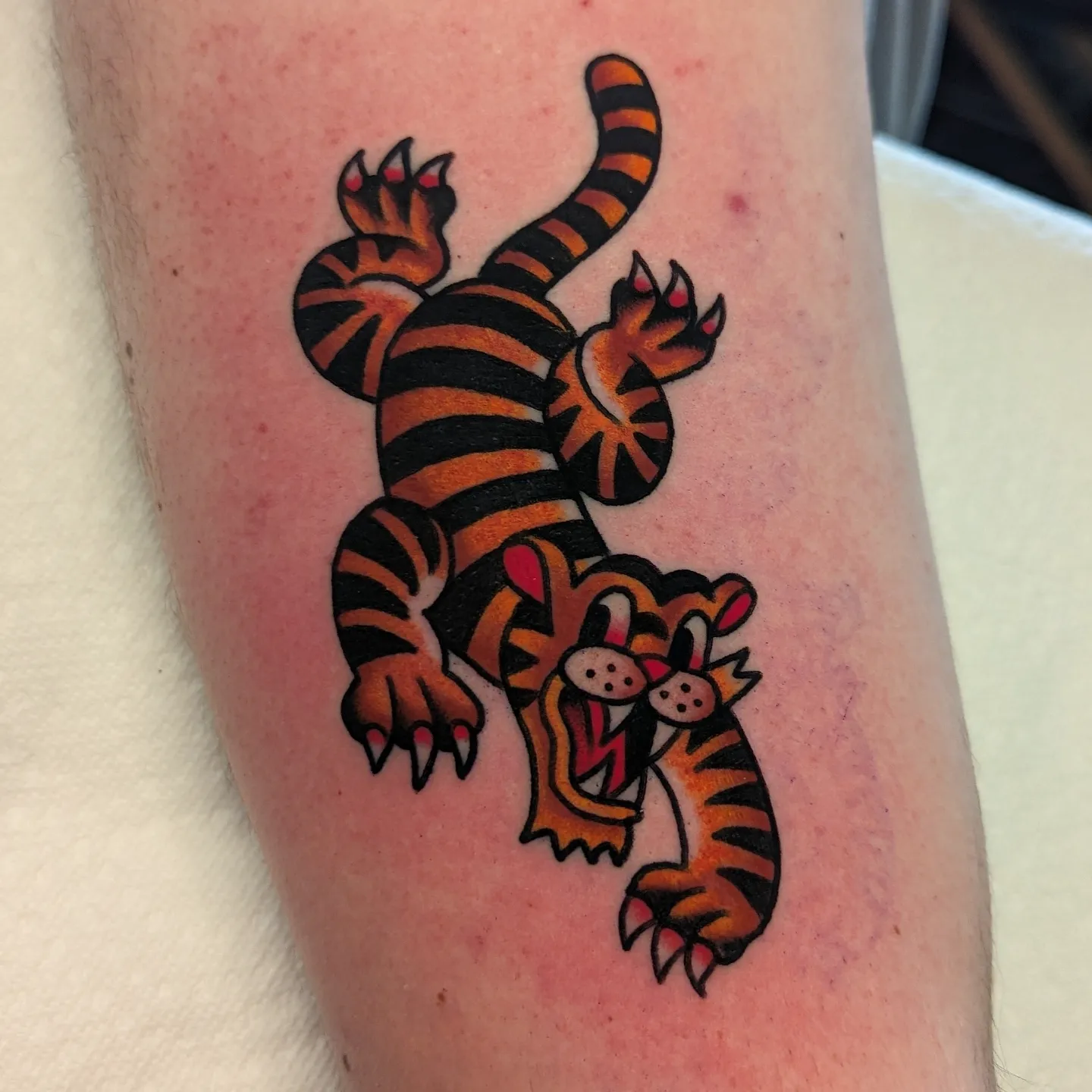 Tiger American traditional tattoo on the forearm by Zack Mueller