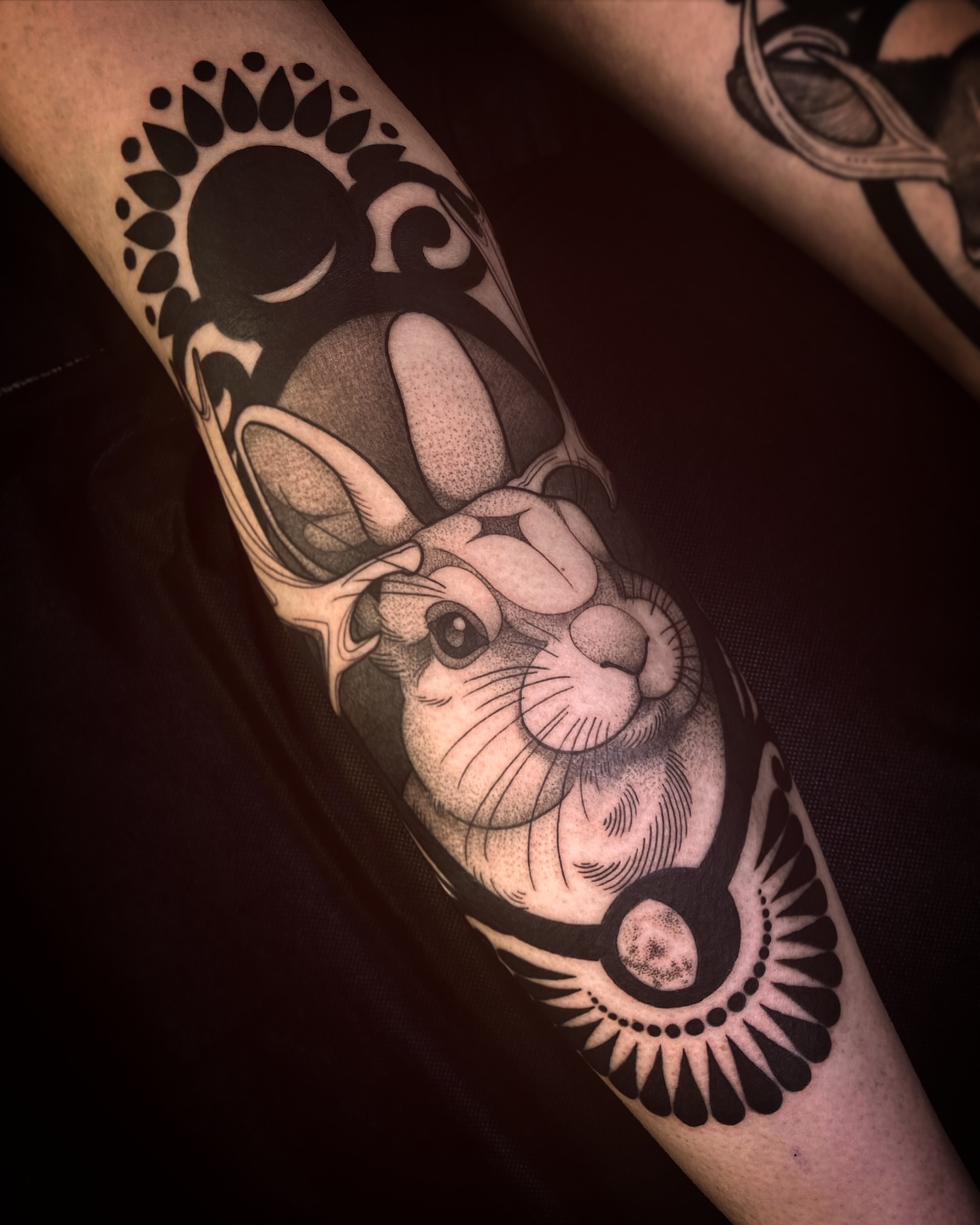 Rabbit realism tattoo on the forearm by Natasha Dickinson