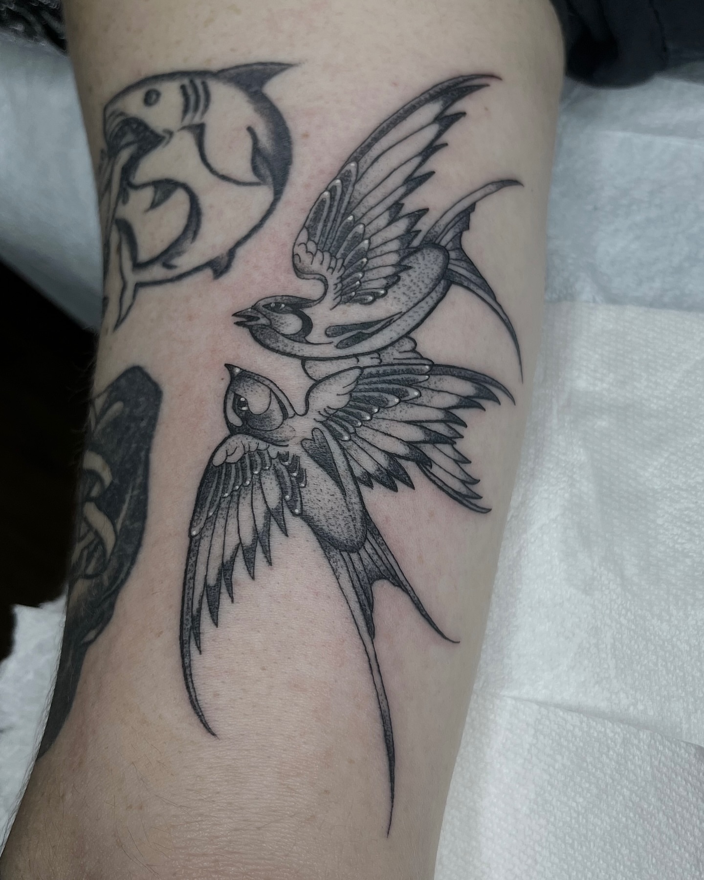 Swallows black and grey tattoo on the forearm by Taylor Newton