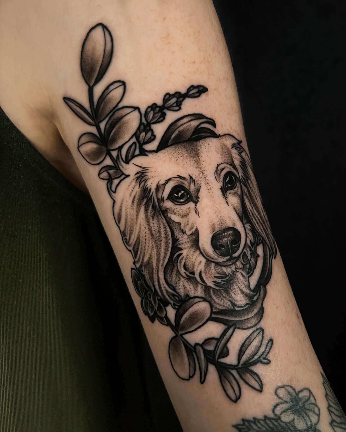 Dog portrait dotwork tattoo on the forearm by 𝖃𝖆𝖓𝖉𝖗𝖎𝖆 ✦ ᴏʀᴇɢᴏɴ ᴛᴀᴛᴛᴏᴏ ᴀʀᴛɪꜱᴛ
