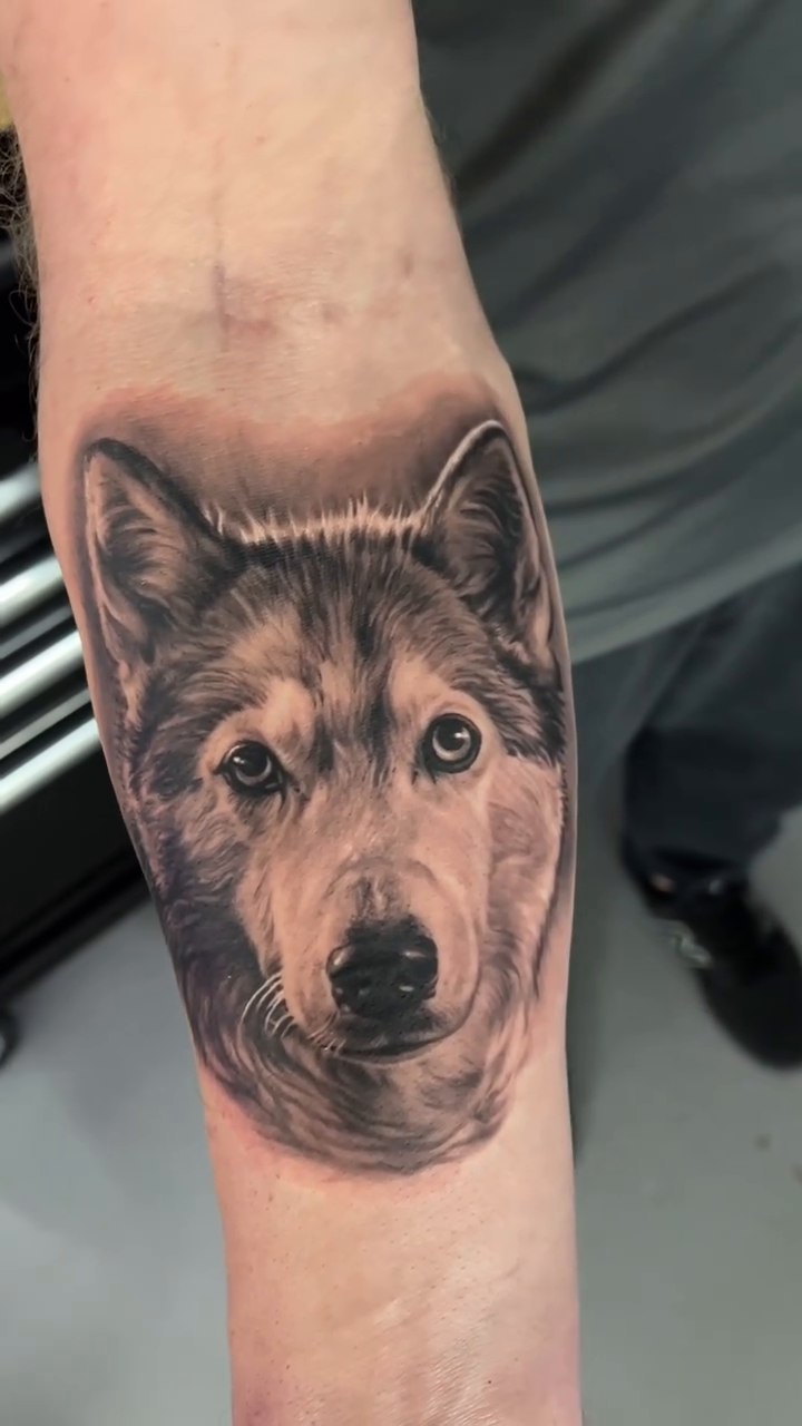 Wolf portrait realism tattoo by Giona Starace