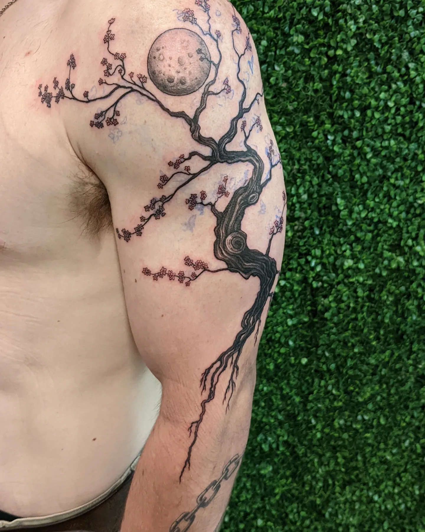 Cherry blossom tree dotwork tattoo on the shoulder by ⁘ heléna tupou-lisle ⁘