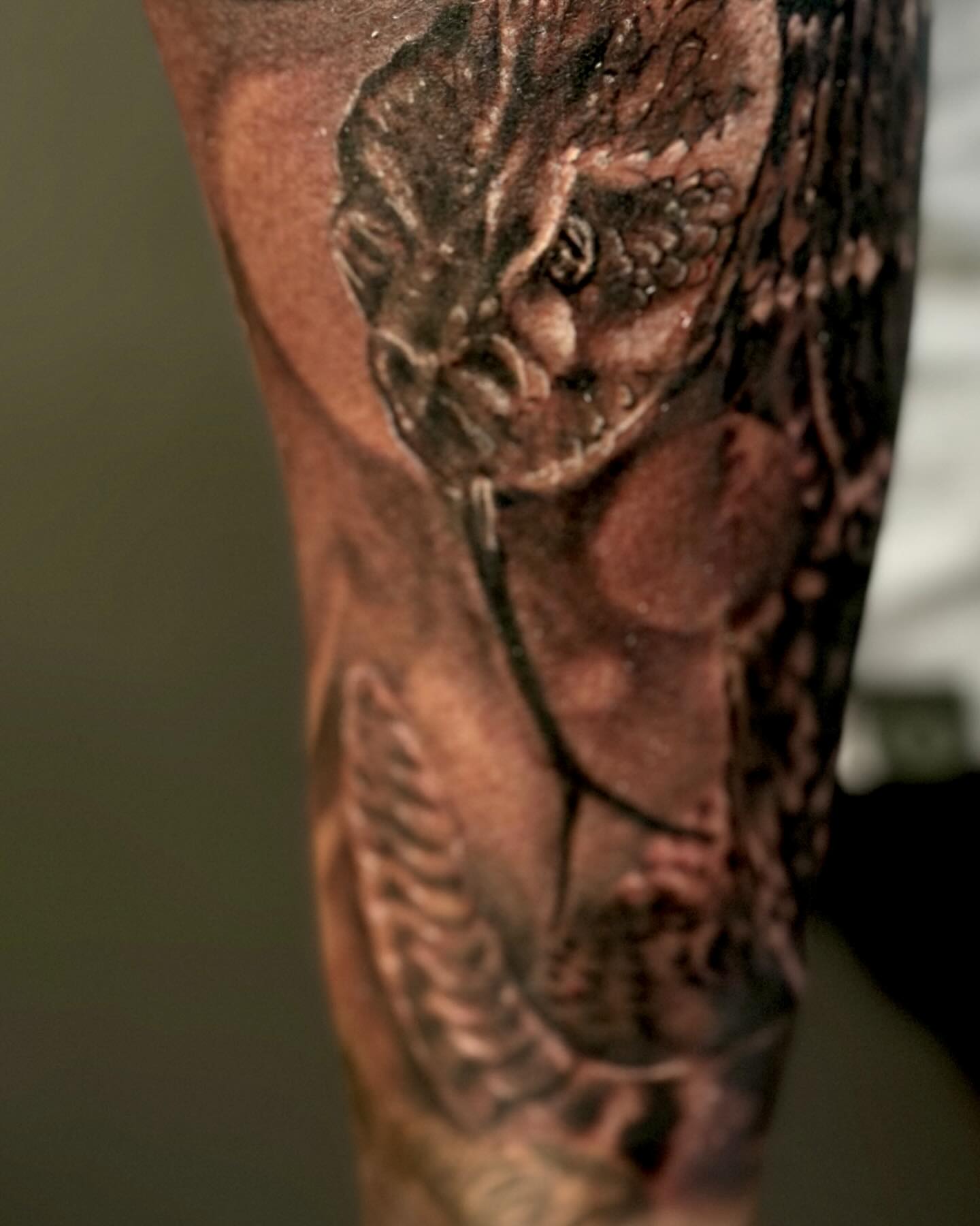 Owl realism tattoo on the forearm by Augie Stakes