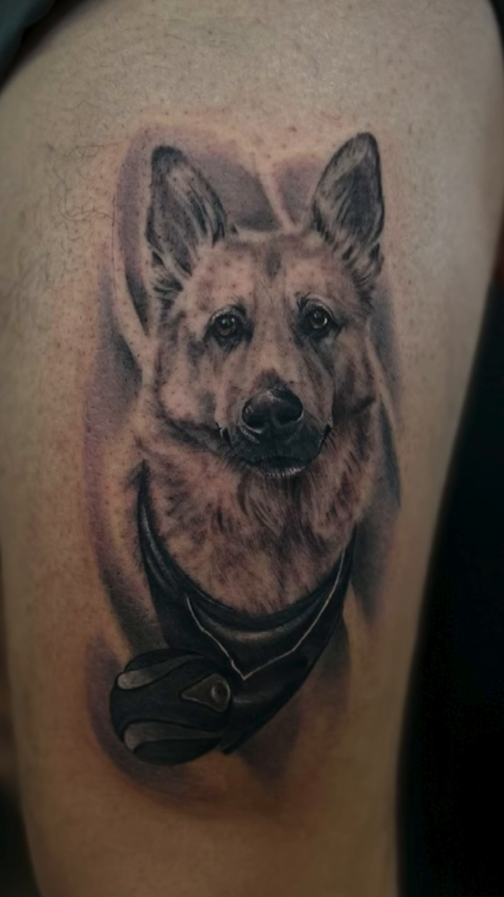 German Shepherd portrait realism tattoo by Nance⚡