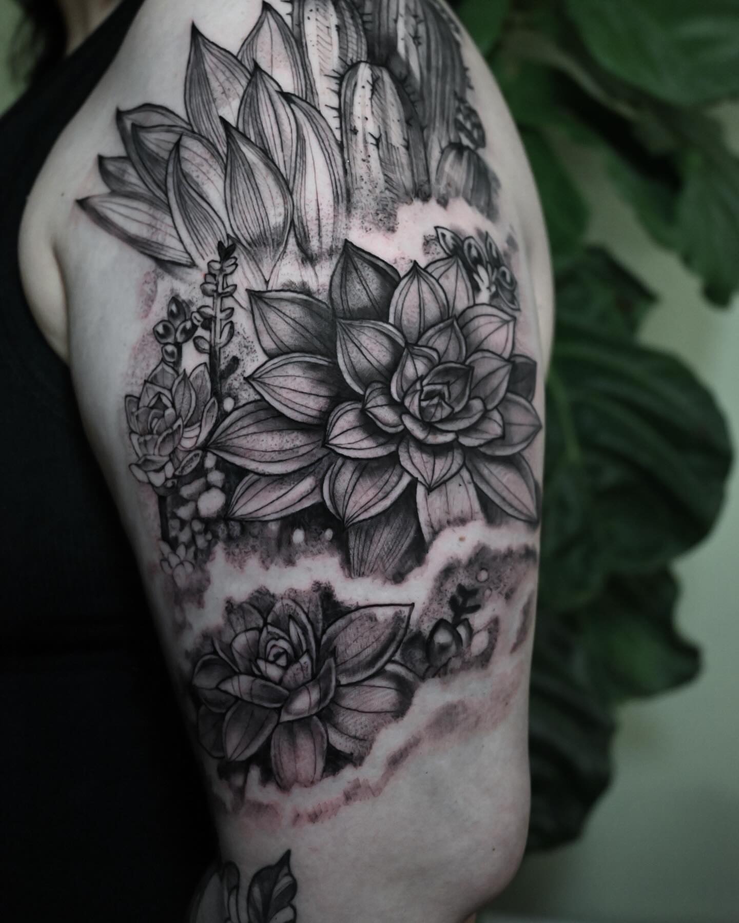 Succulents realism tattoo on the shoulder by Neri Gersaint