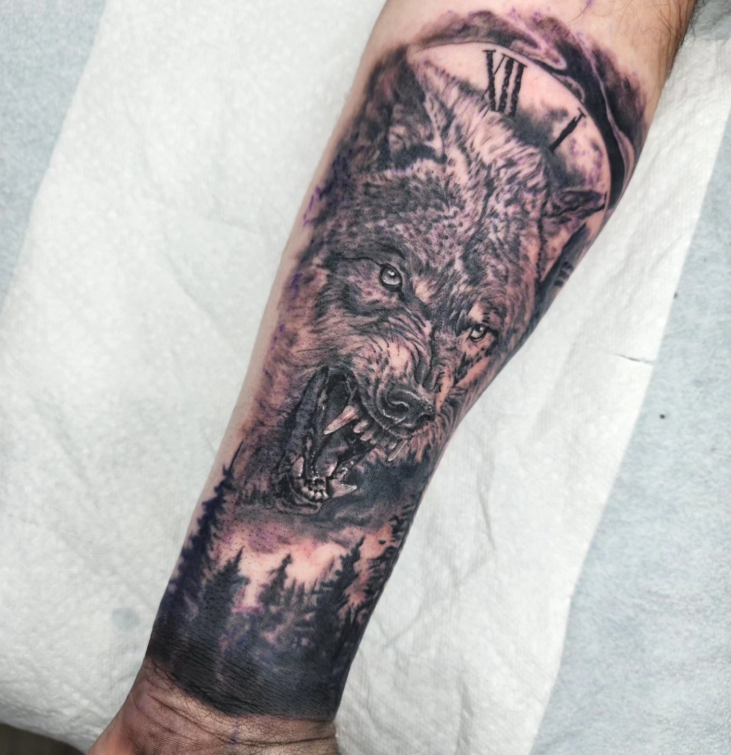 Wolf realism tattoo on the forearm by Zach Mullins