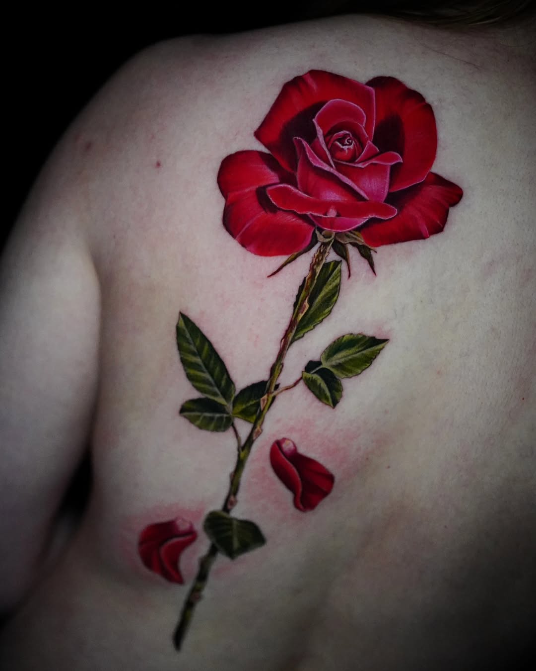 Red rose with falling petals neo-traditional tattoo on the shoulder by Shar - Utah Tattoo Artist