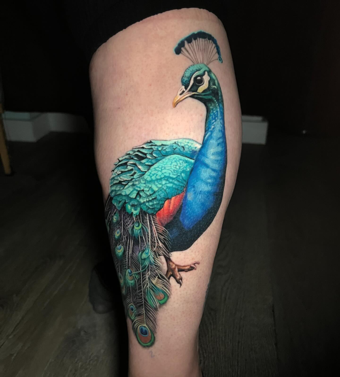 Peacock realism tattoo on the thigh by Irina Shapiro, Somerville, Massachusetts