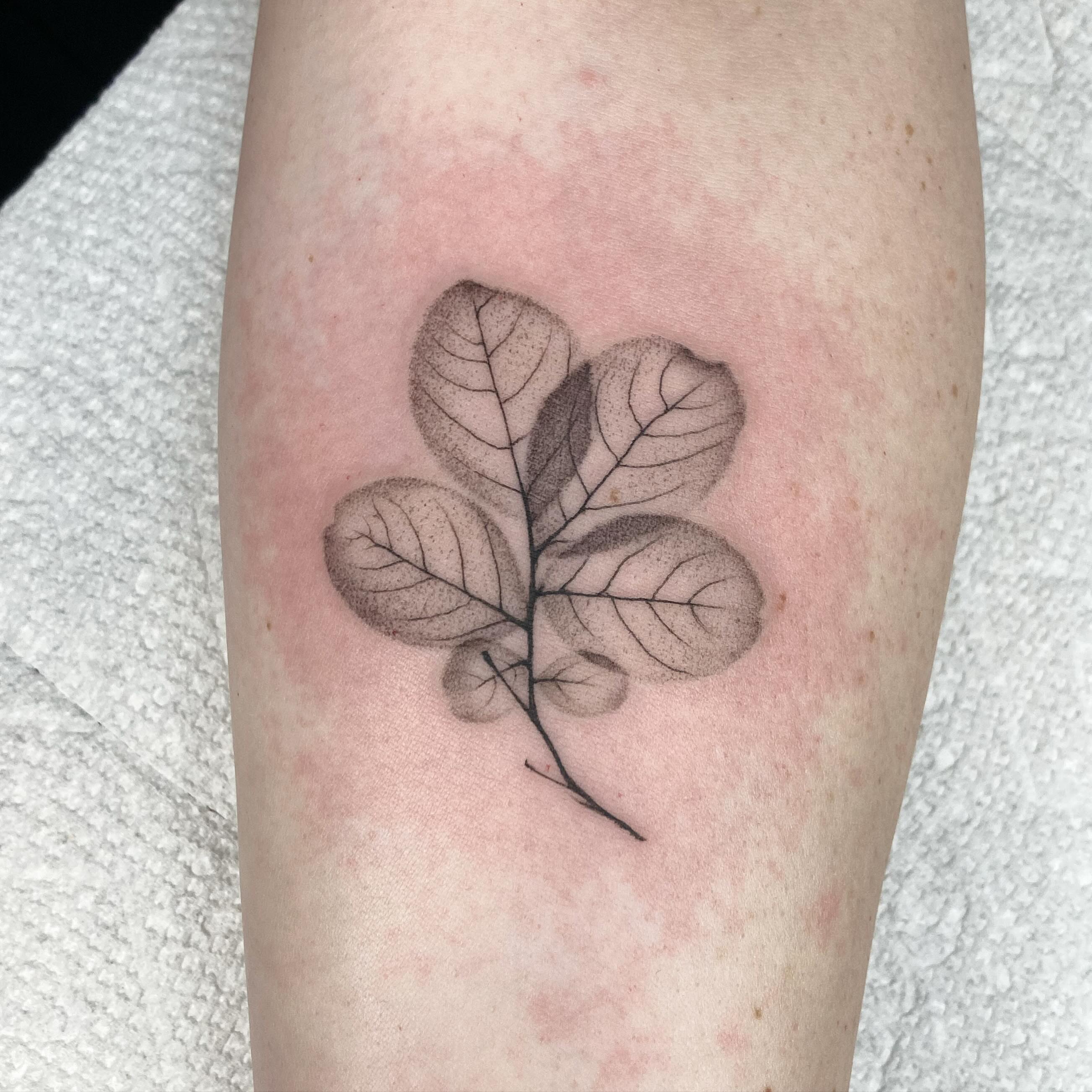 Branch with leaves black and grey tattoo on the forearm by Hali Larkin