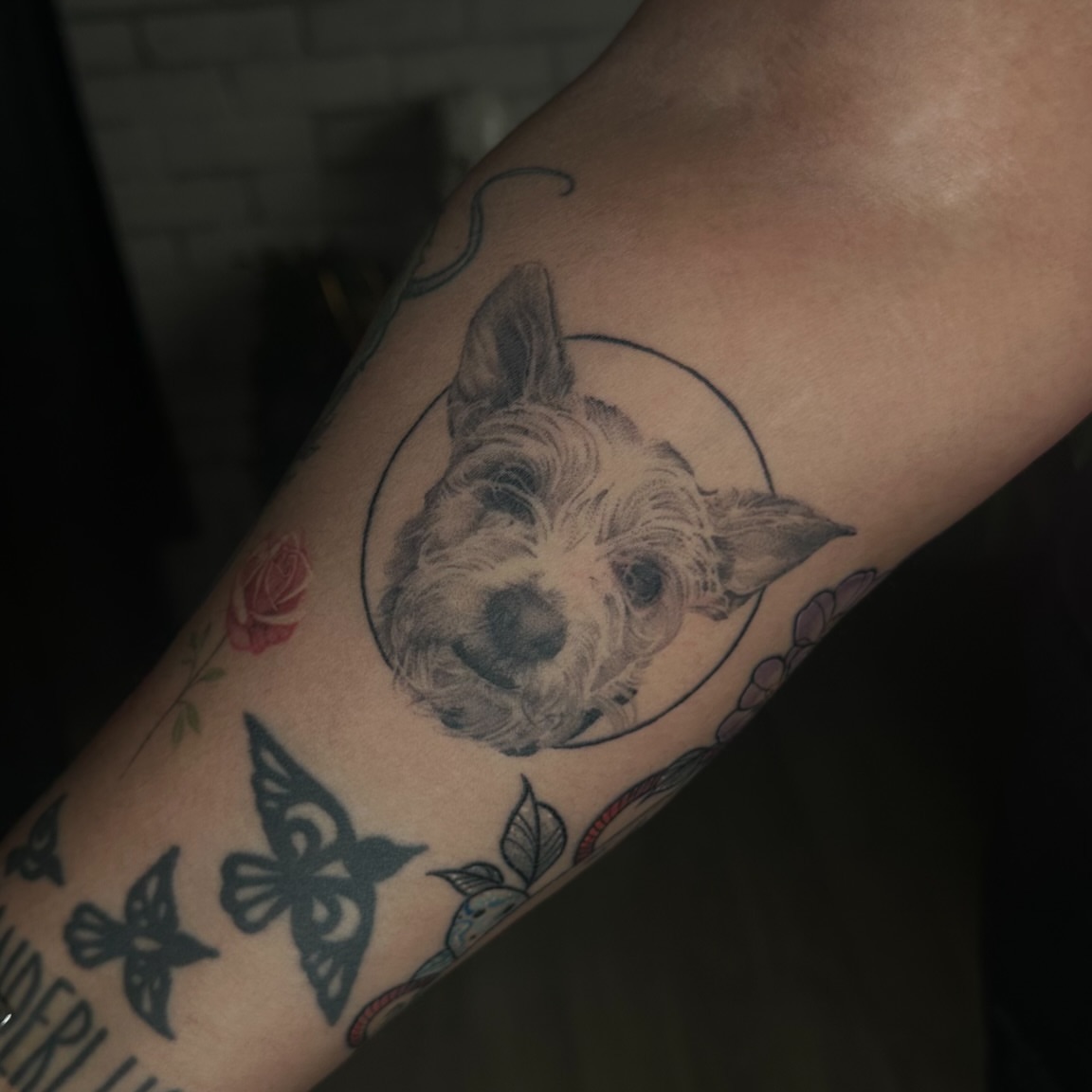Tattoo by @stephtattoos_ โ realism