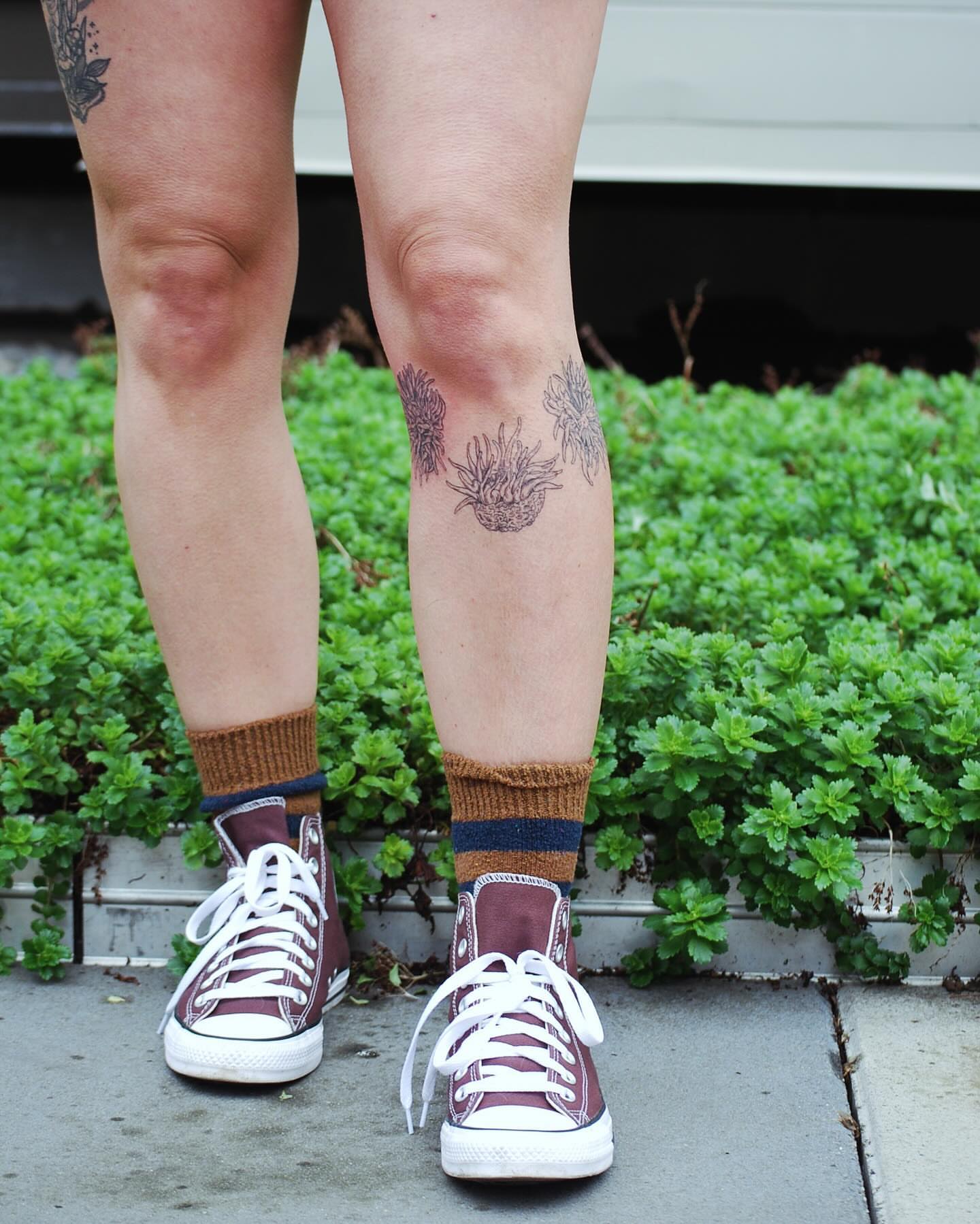 Pineapples black and grey tattoo on the leg by Seraphim