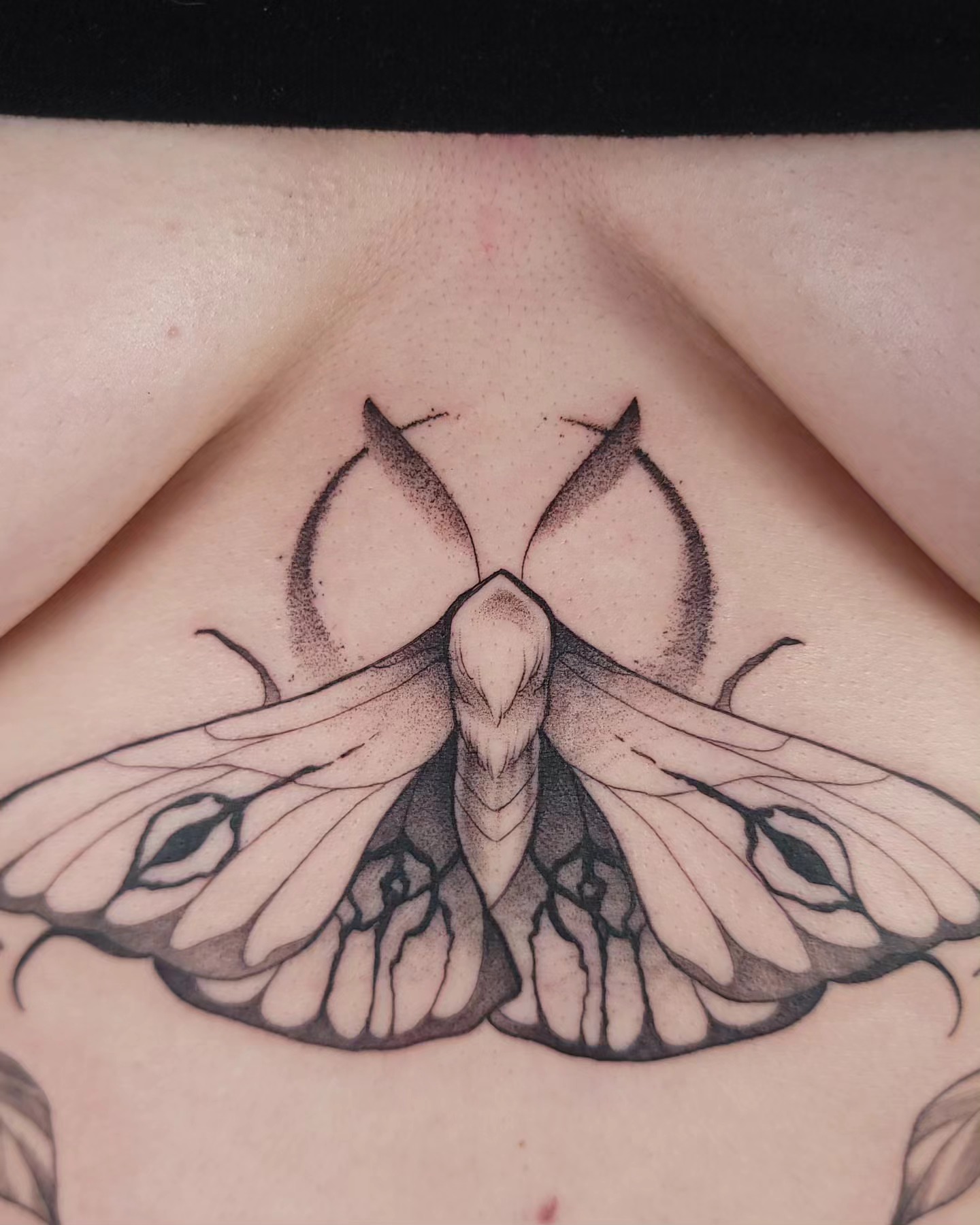 Moth realism tattoo on the chest by Ghost