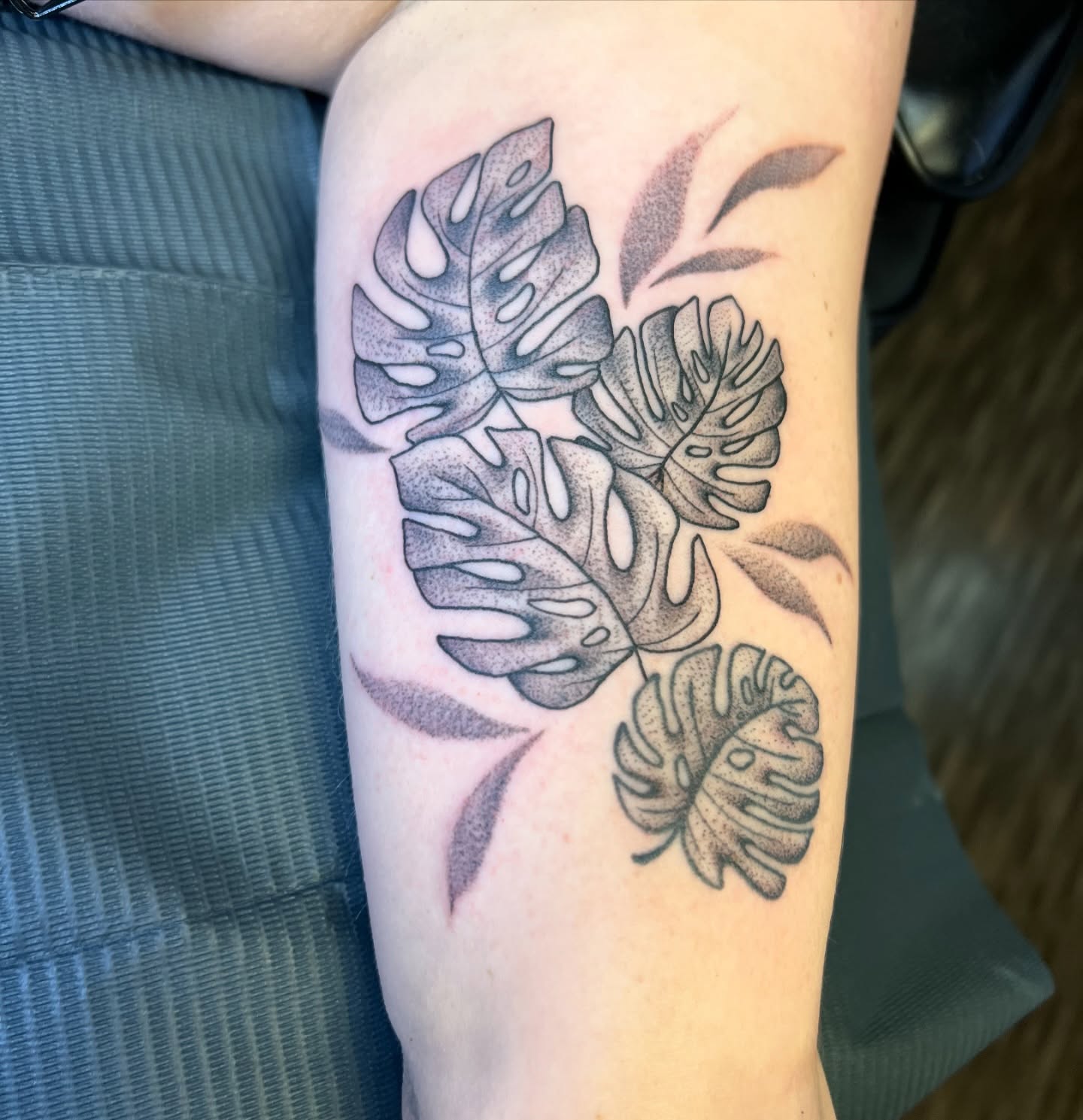 Monstera leaves dotwork tattoo on the forearm by Dani McBay
