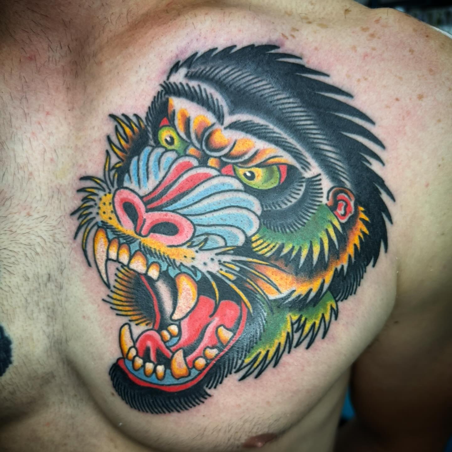 Angry monkey American traditional tattoo on the chest by Timothy Wood