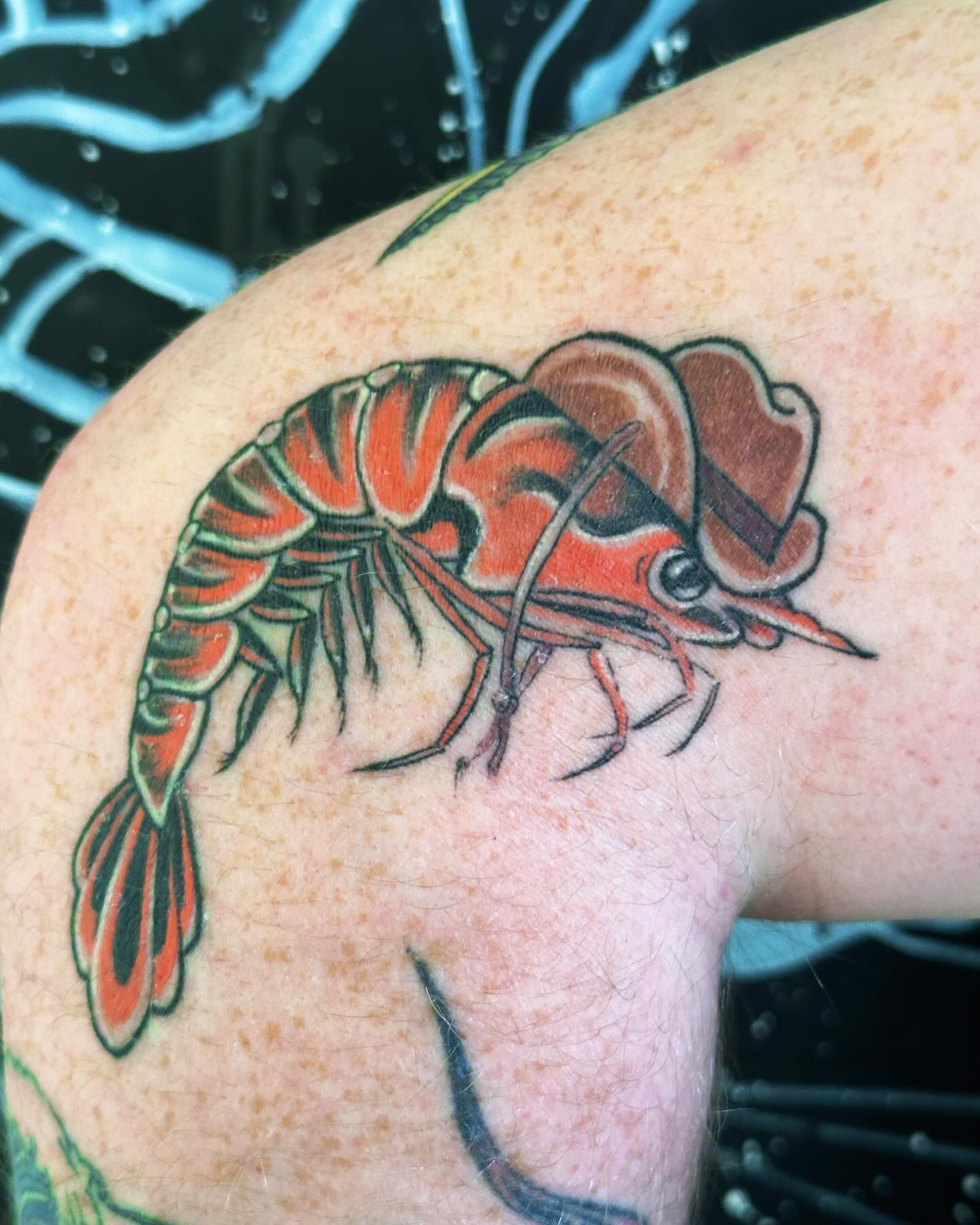 Tattoo by @immaculata_tattoo — american_traditional
