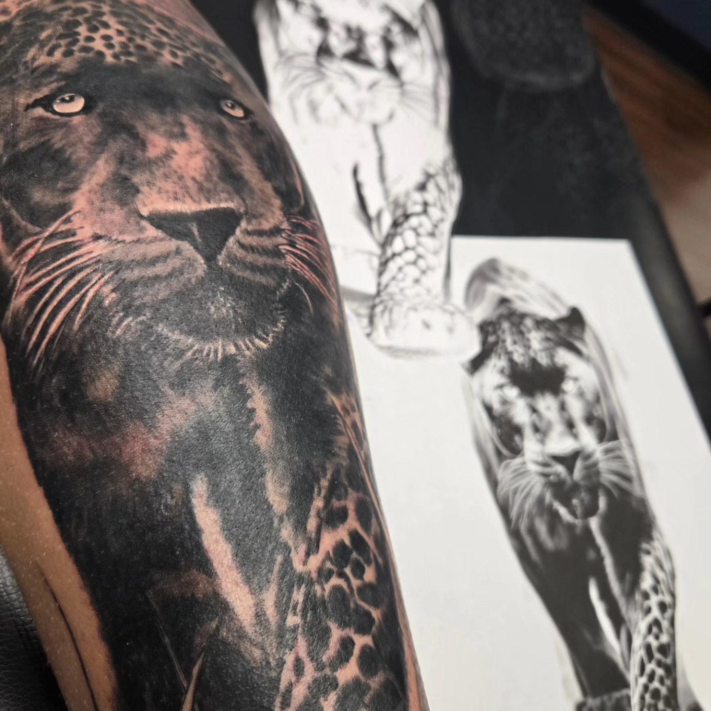 Leopard realism tattoo on the forearm by David Johnson