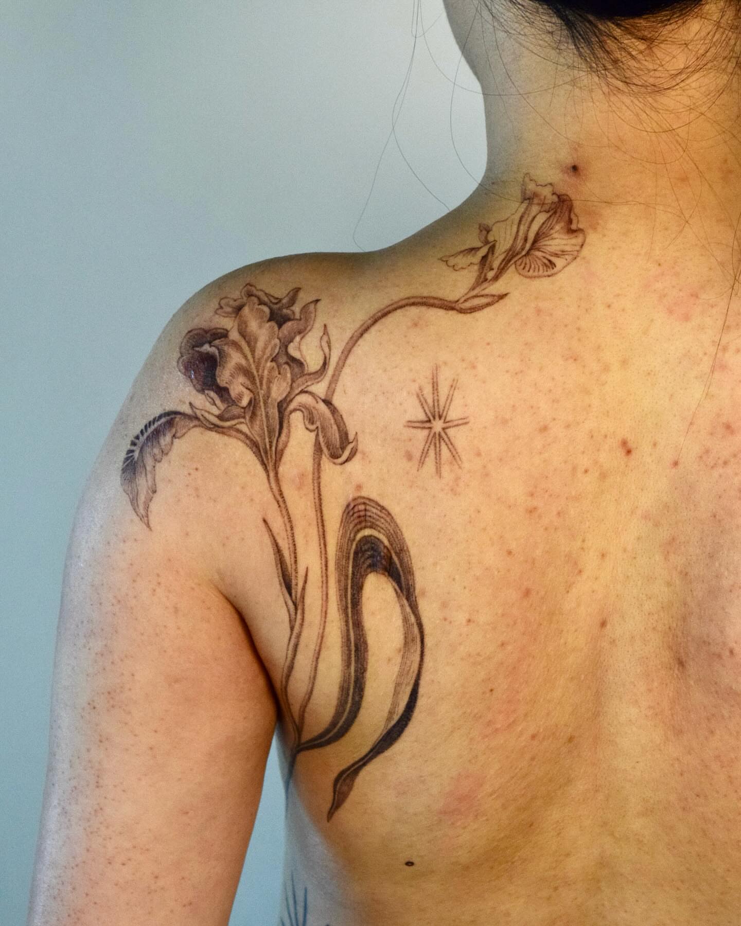 Iris and star black and grey tattoo on the shoulder by Stella Oh