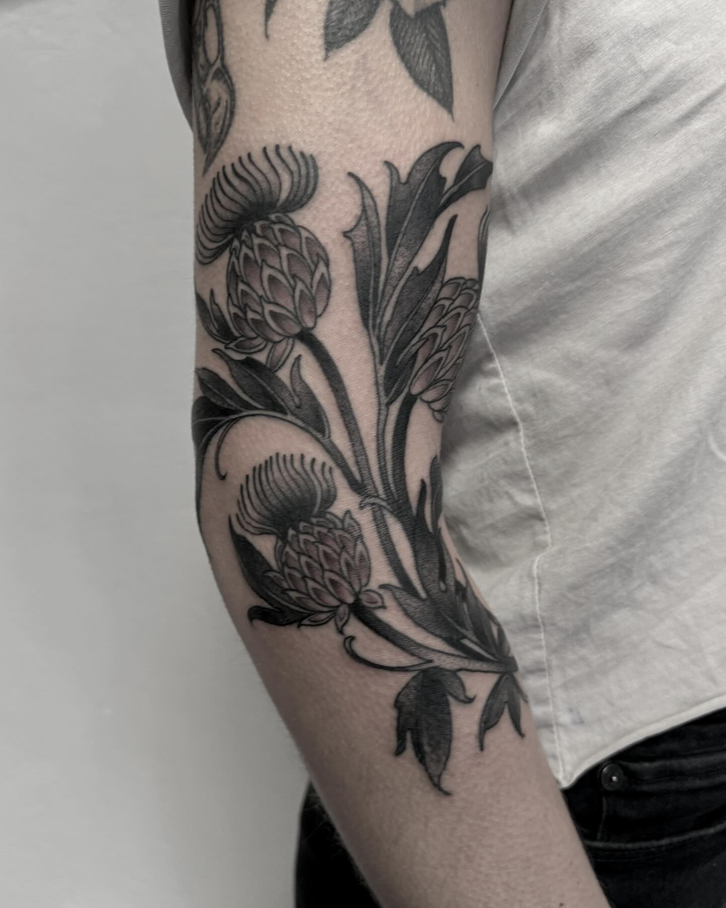 Thistle black and grey tattoo on the forearm by gina