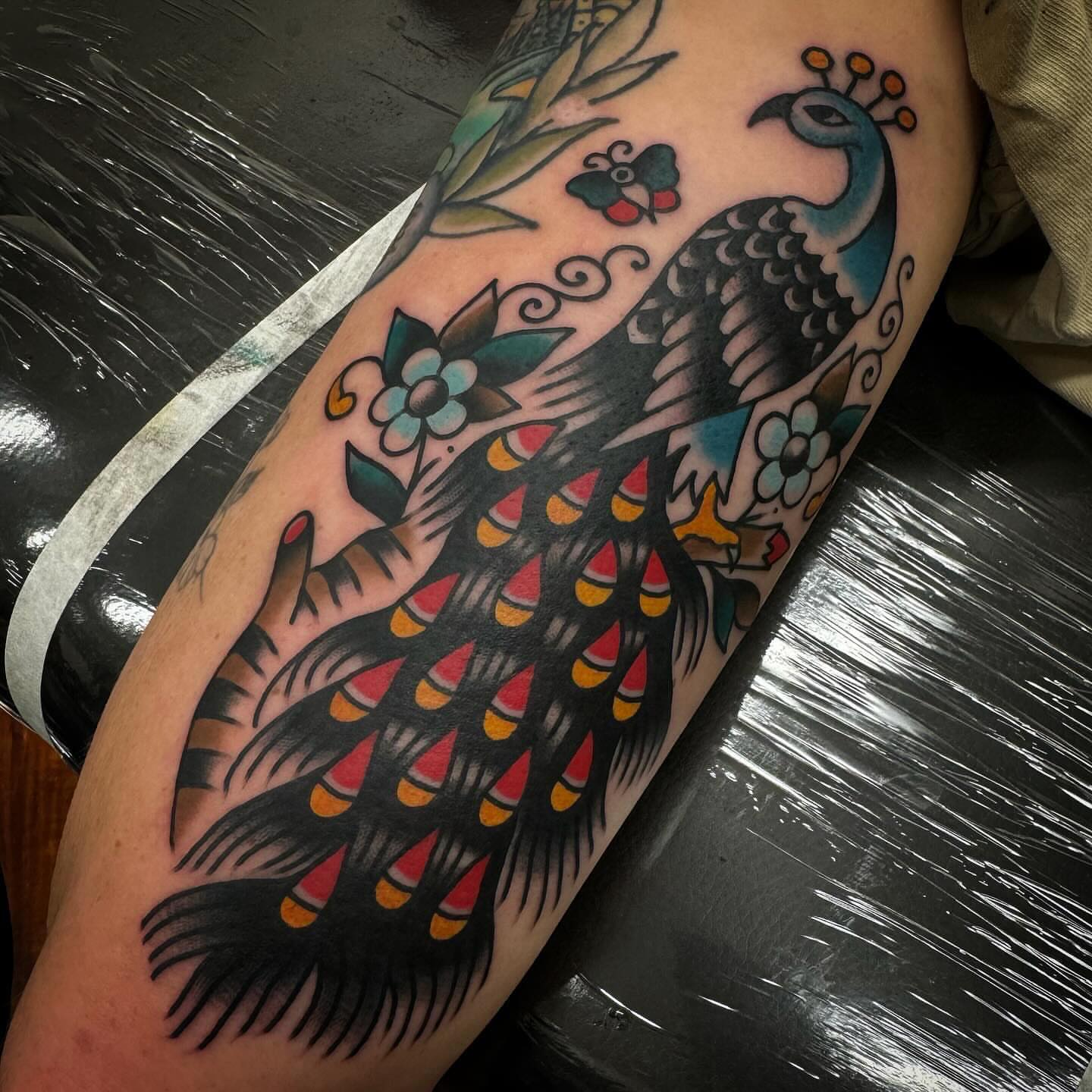Peacock American traditional tattoo on the forearm by Rogelio Robles