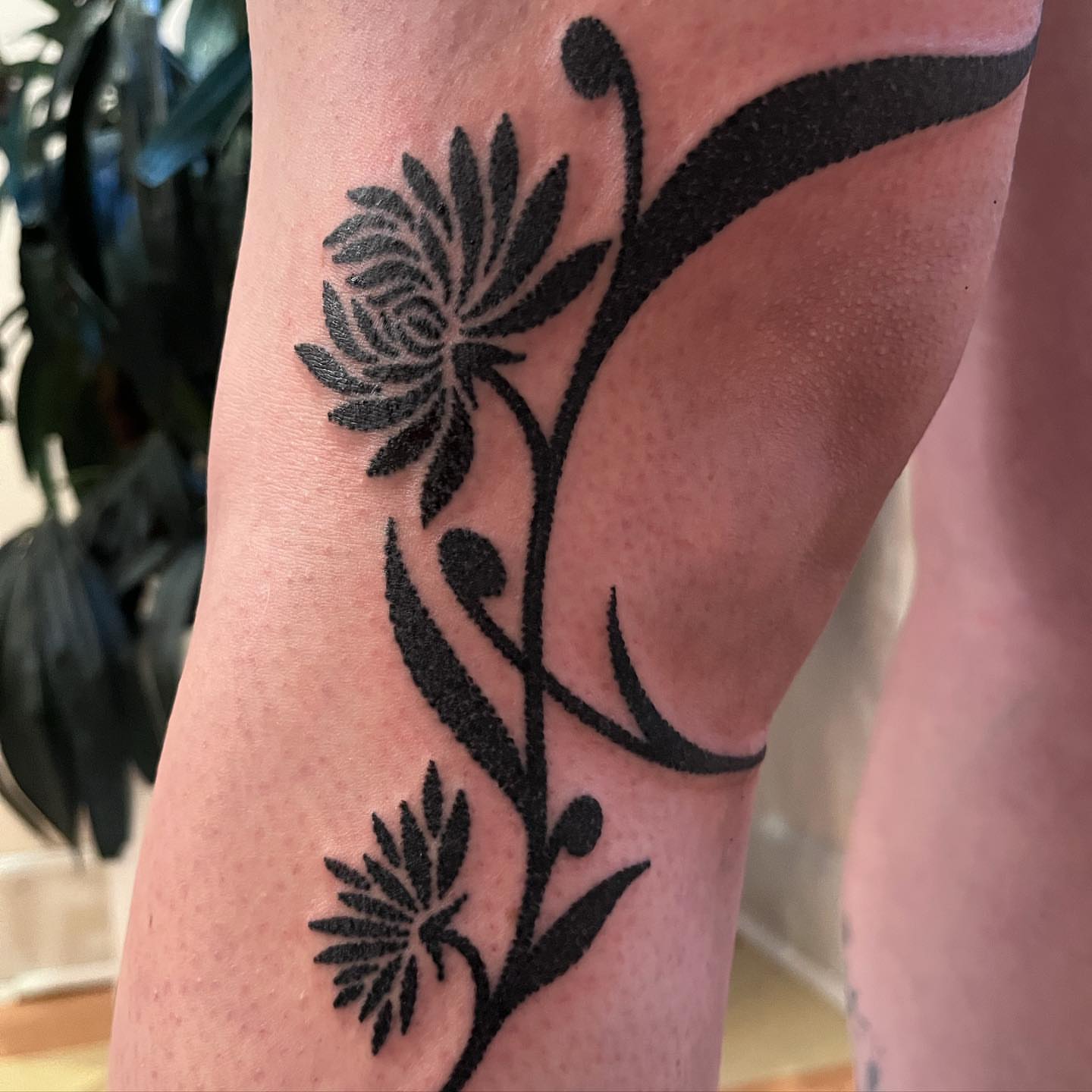 Chrysanthemum black and grey tattoo on the forearm by kevvy