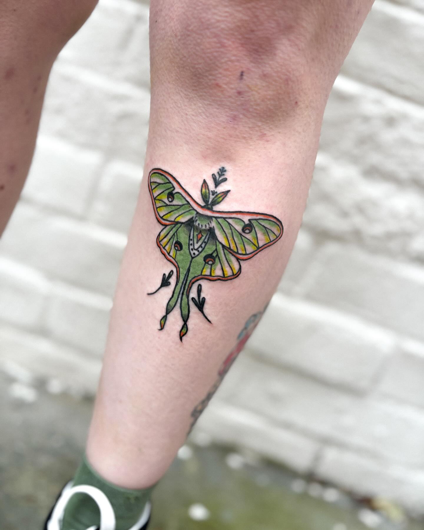 Luna moth American traditional tattoo on the forearm by Katelyn Spence