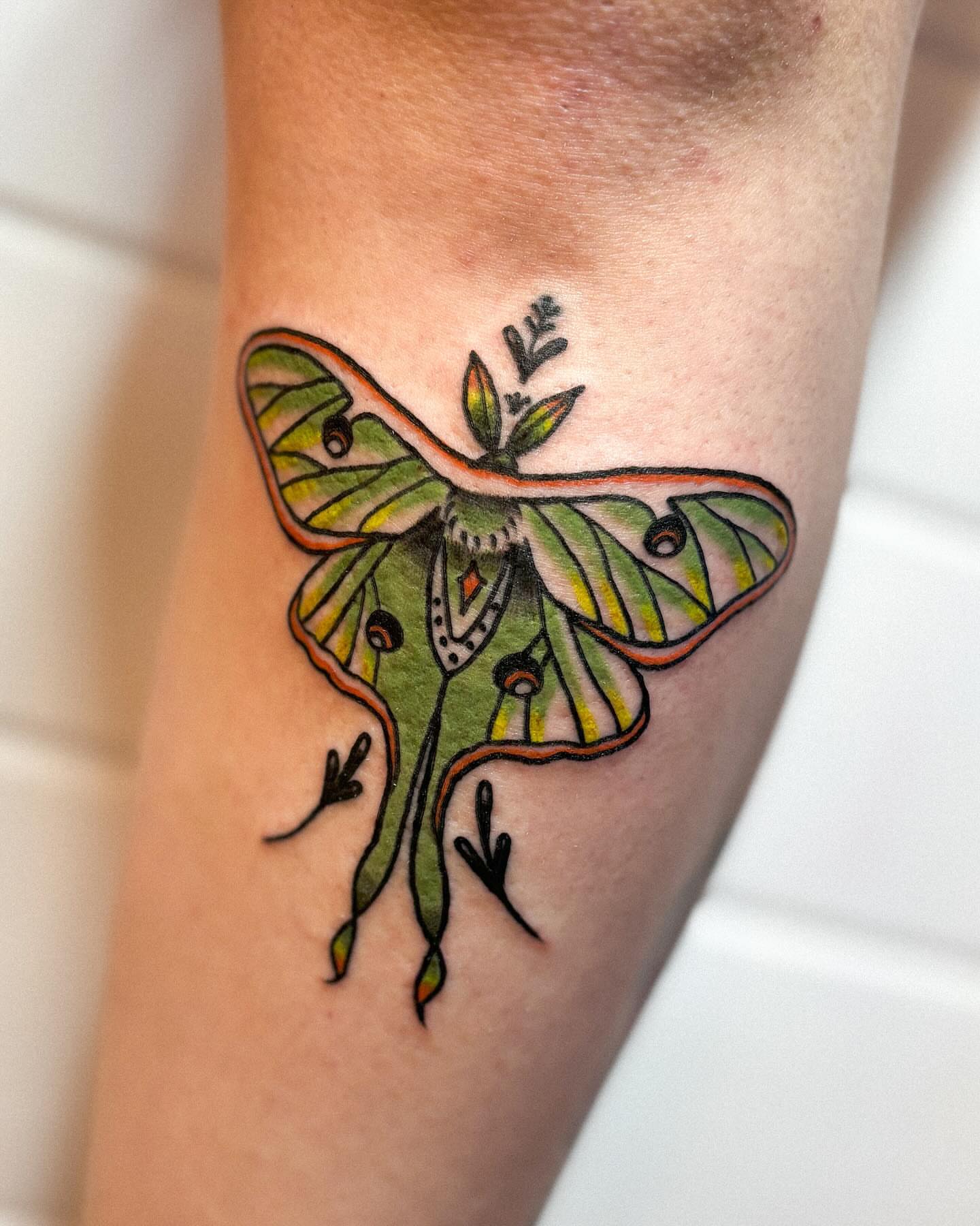 Moth American traditional tattoo on the forearm by Katelyn Spence