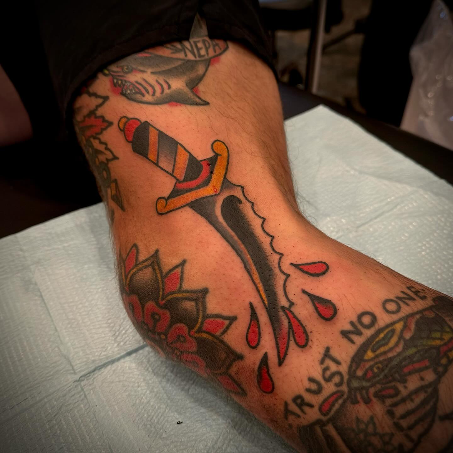 Shark and dagger American traditional tattoo on the forearm by Troy Mort, Altoona, Pennsylvania