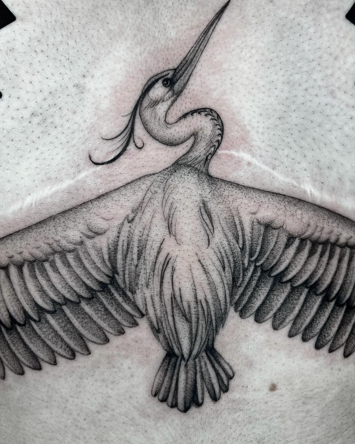 Heron dotwork tattoo on the torso by Carla AKA Turnip girl