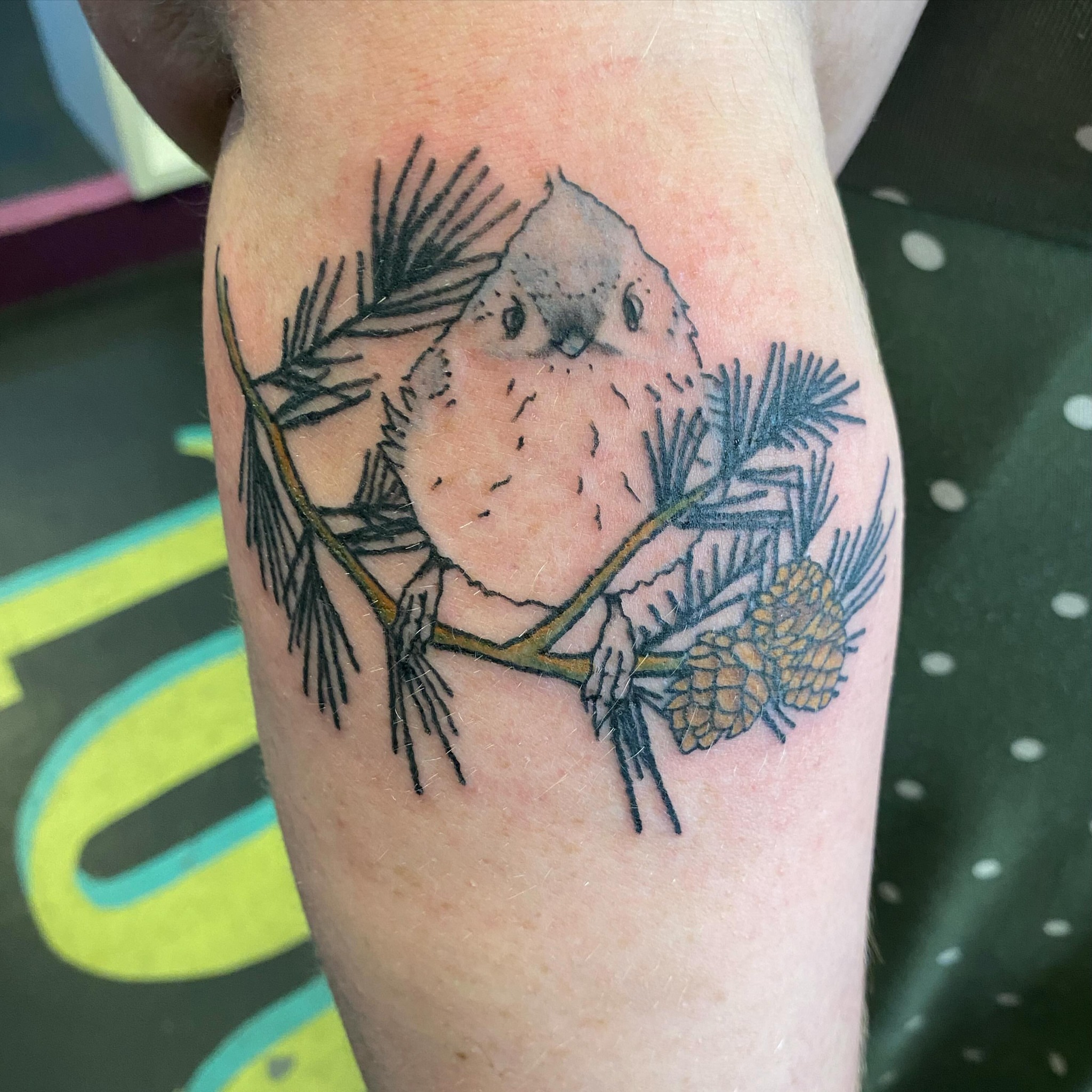Bird realism tattoo on the forearm by Tesla Kohl