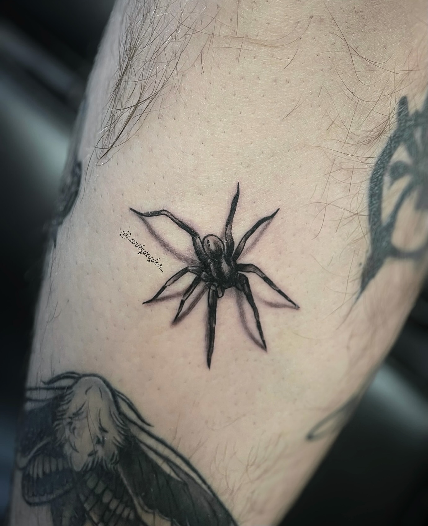 Spider black and grey tattoo on the forearm by Taylor✍🏽️