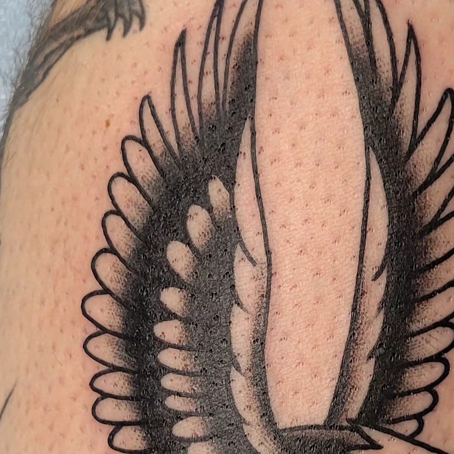 Feather black and grey tattoo on the upper arm by Jared Green